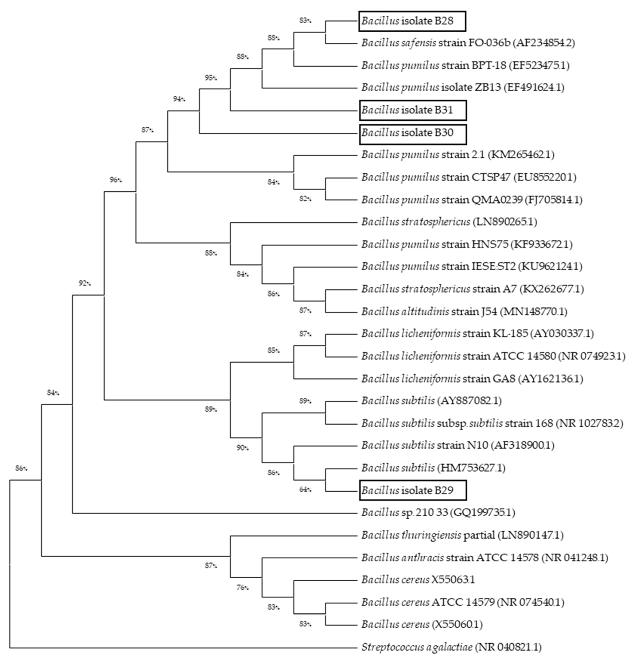 Animals 13 00986 g002