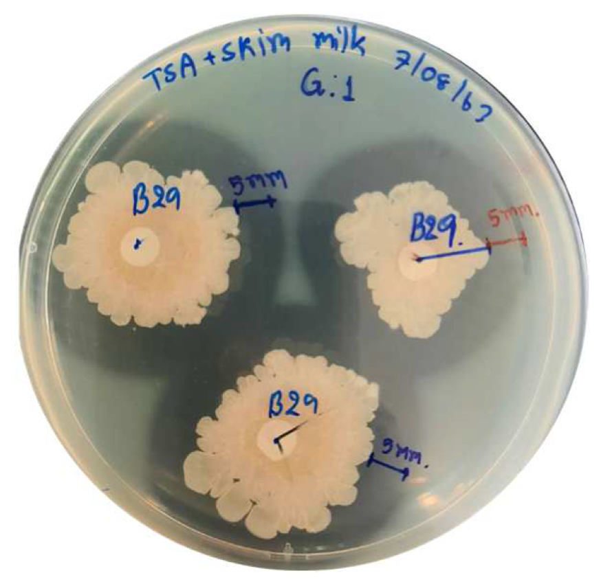 Animals 13 00986 g004