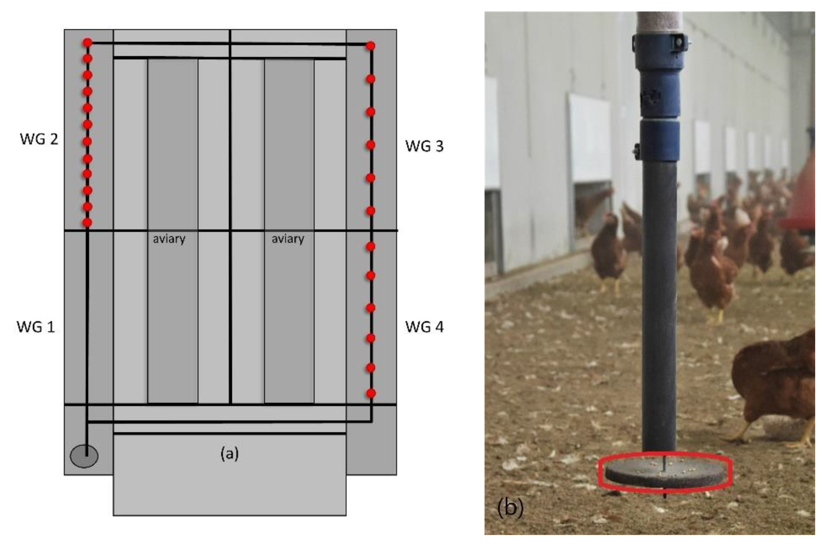 Animals 13 00989 g001