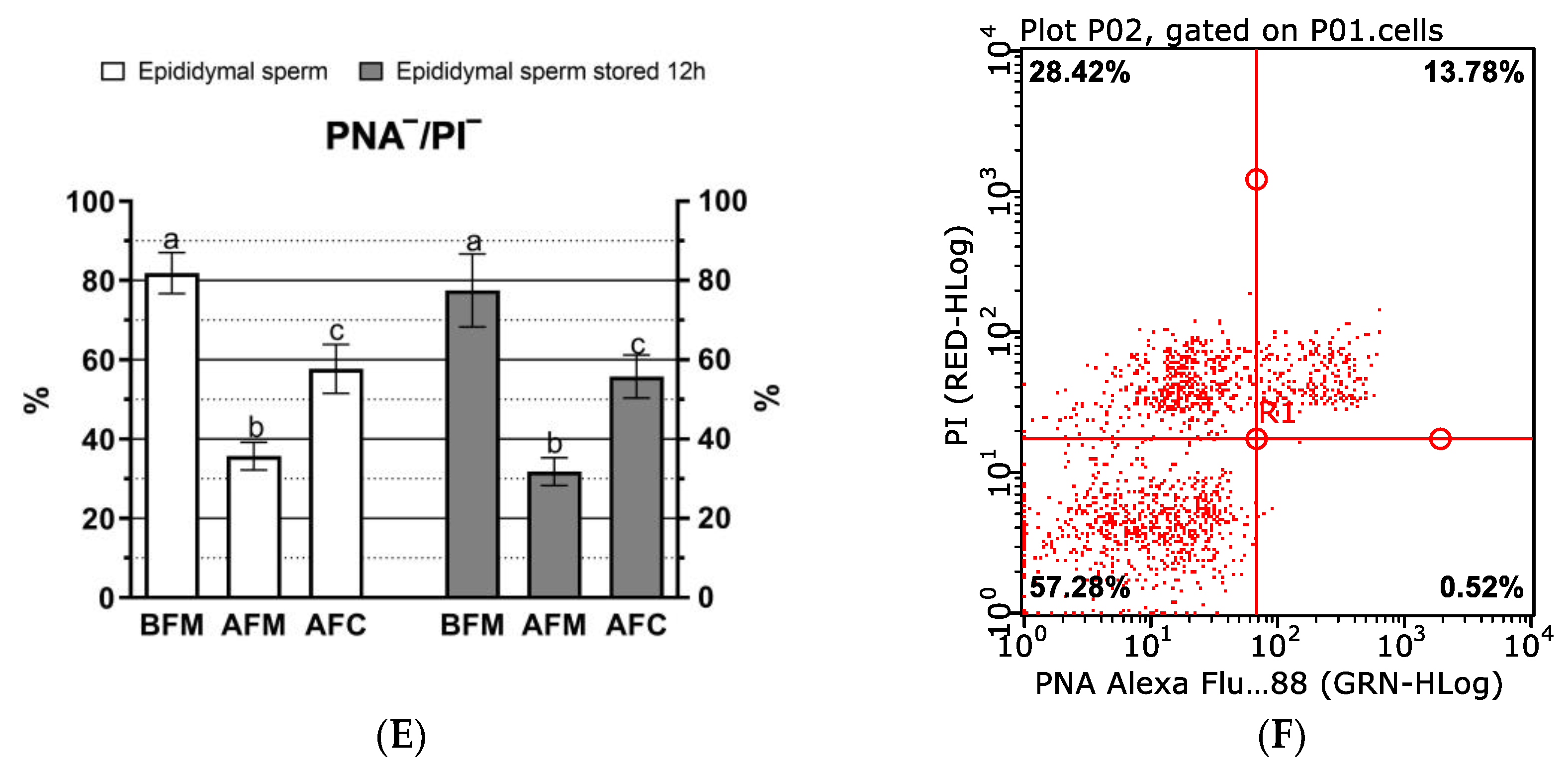 Animals 13 00990 g002b