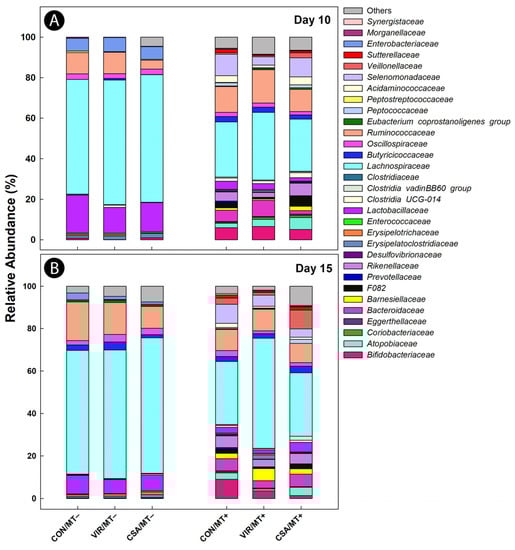 Animals 13 00997 g001