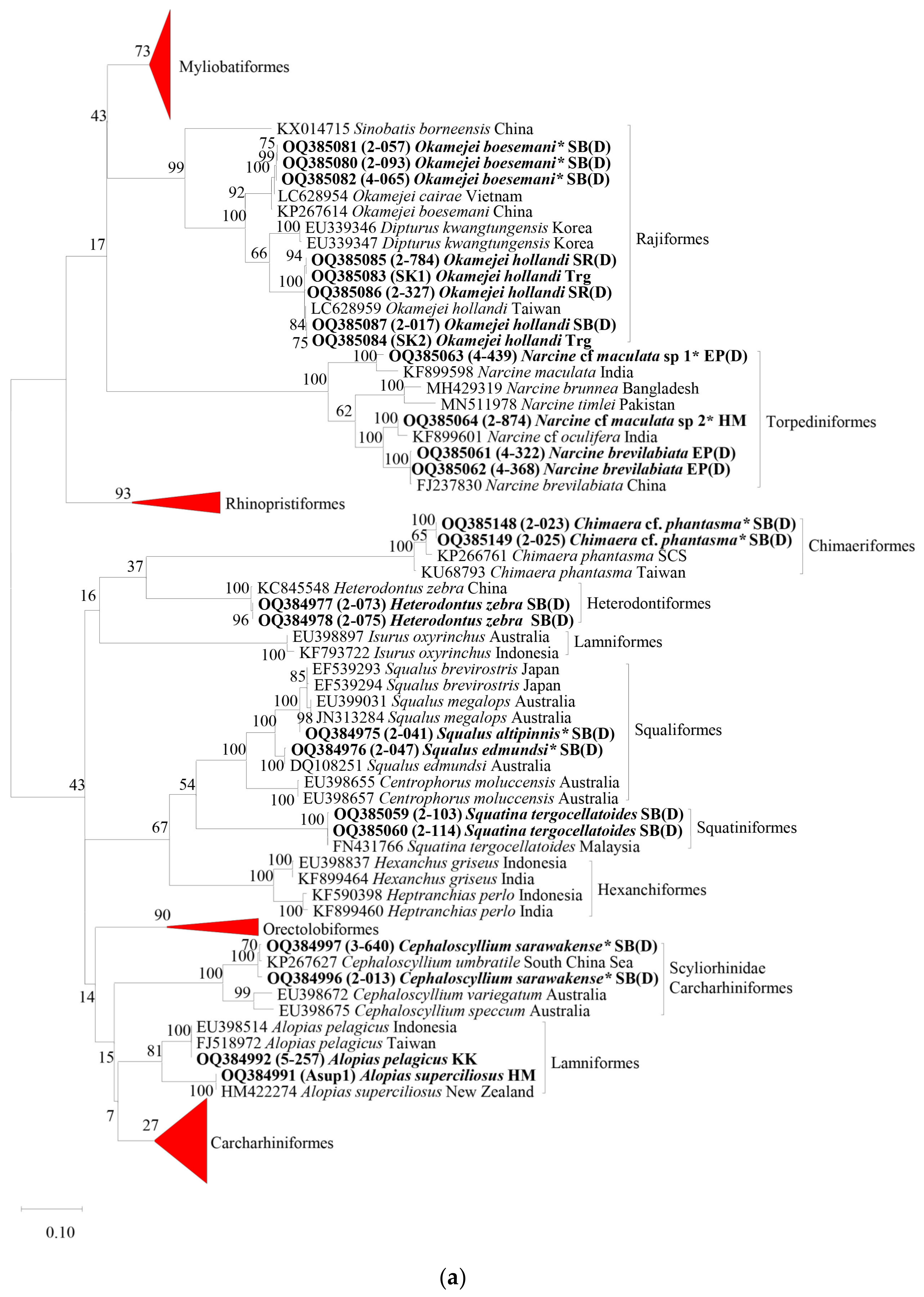 Animals 13 01002 g002a