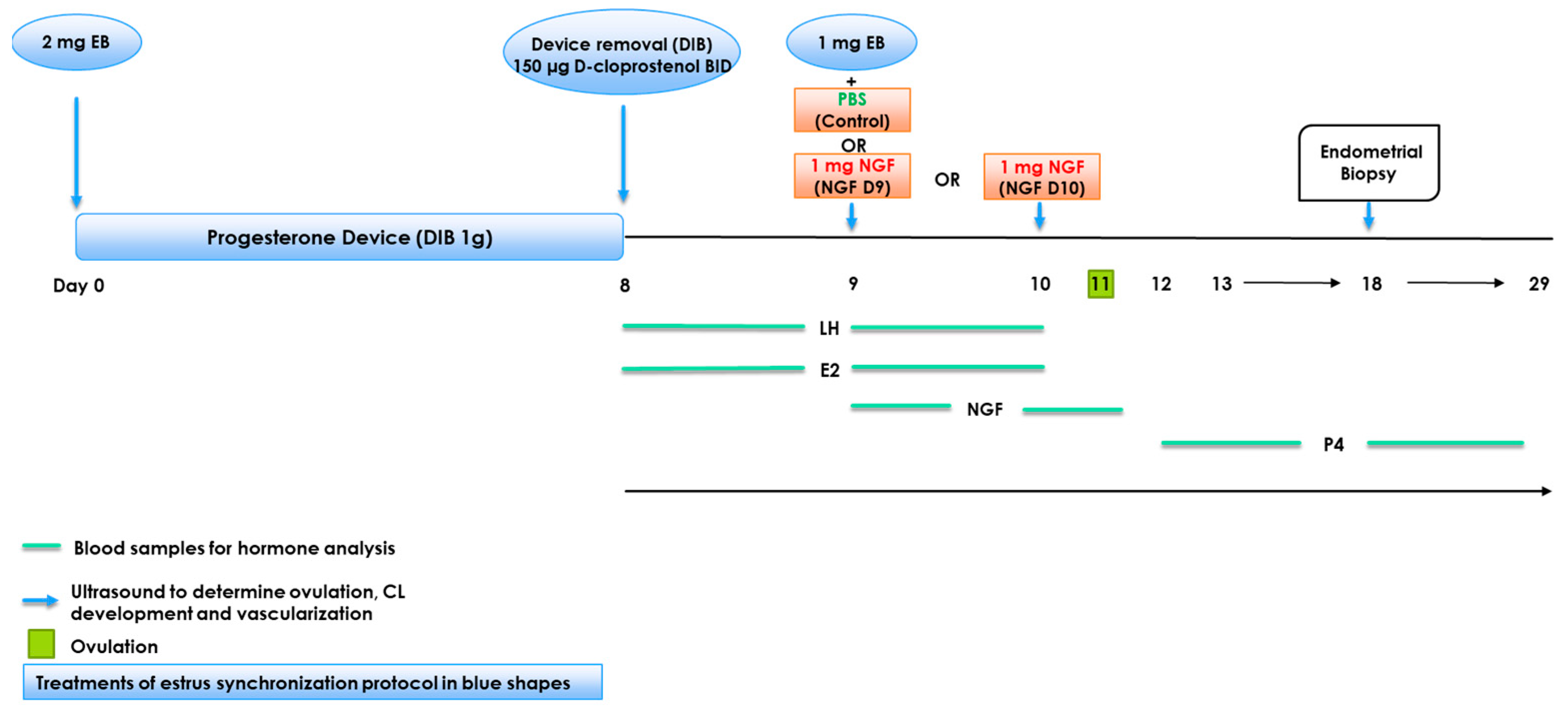 Animals 13 01004 g001