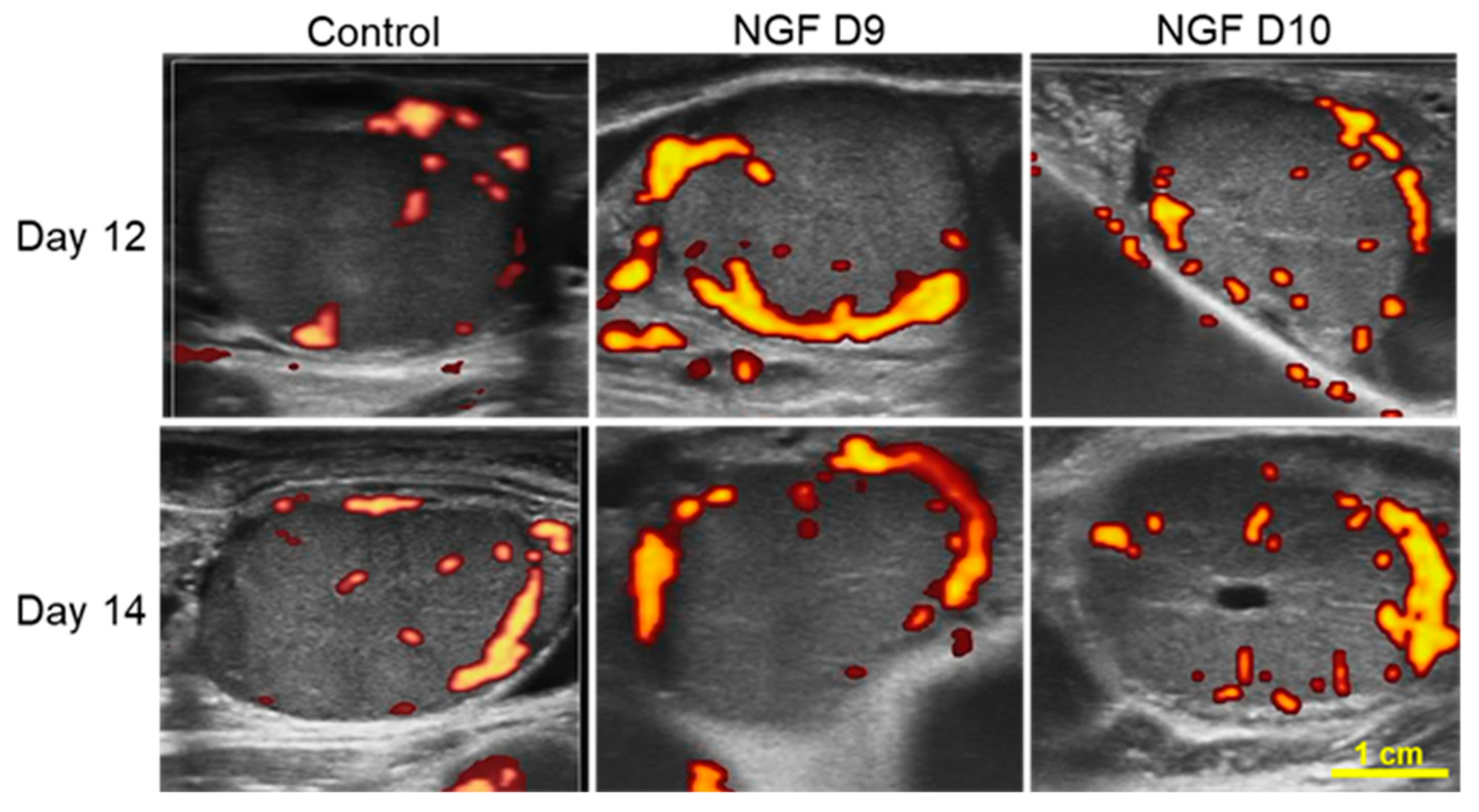 Animals 13 01004 g005