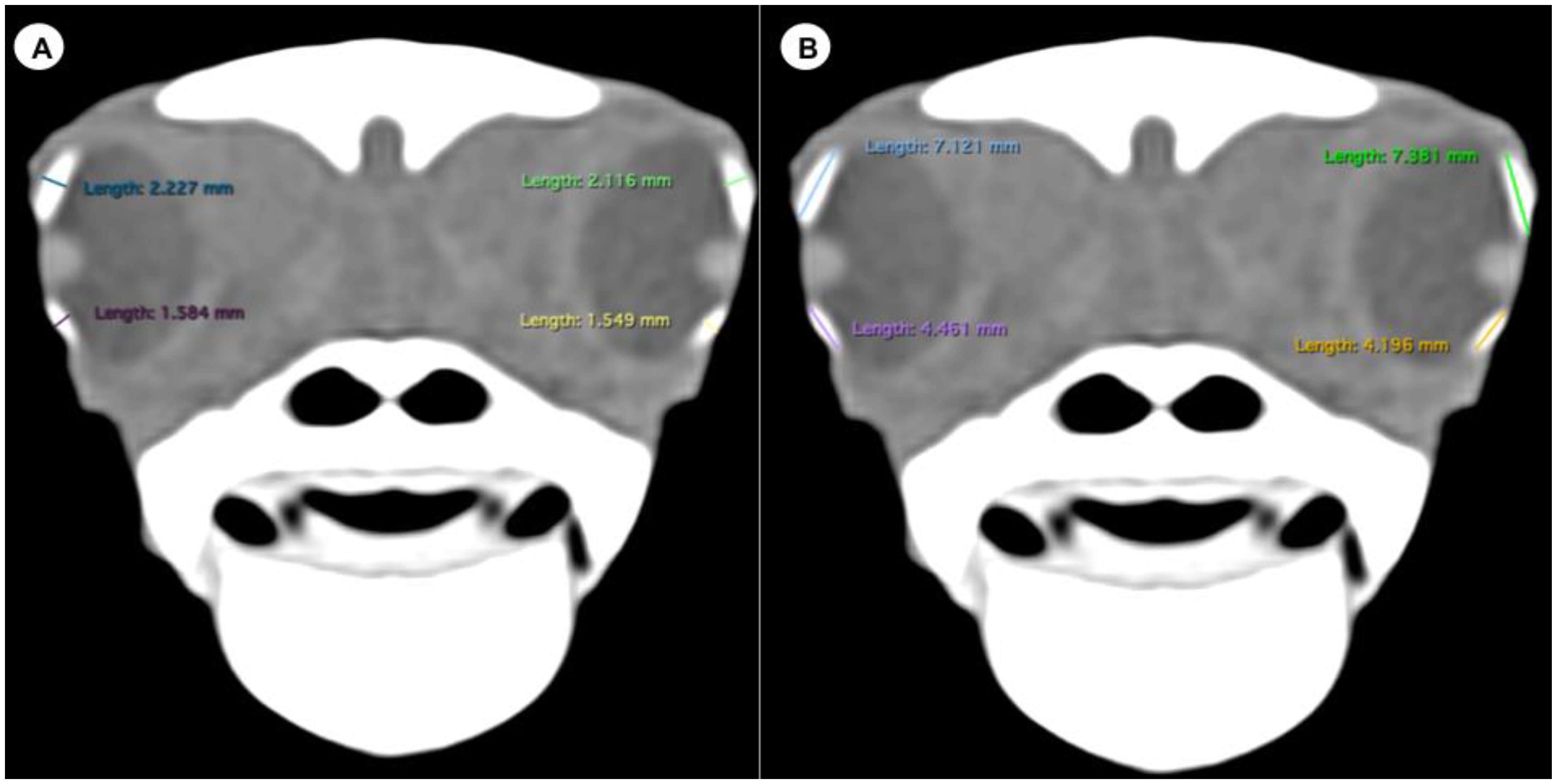 Animals 13 01016 g002 Animals 13 01016 g002