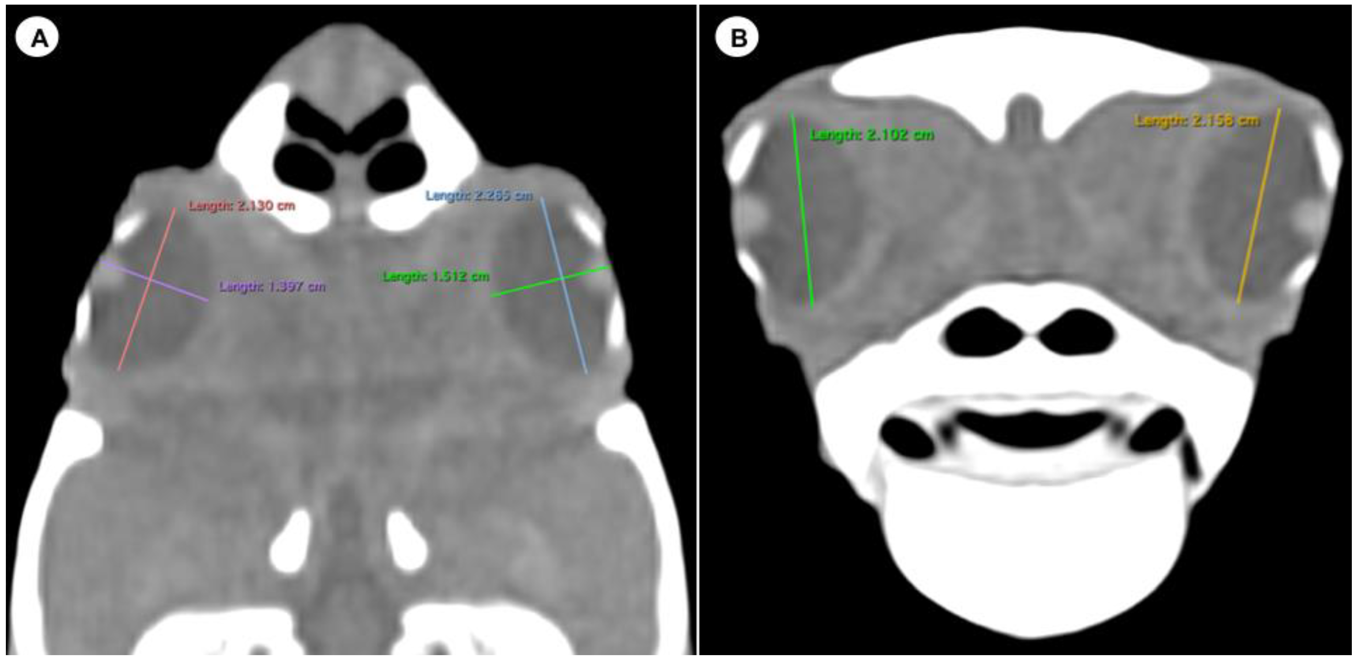 Animals 13 01016 g003 Animals 13 01016 g003