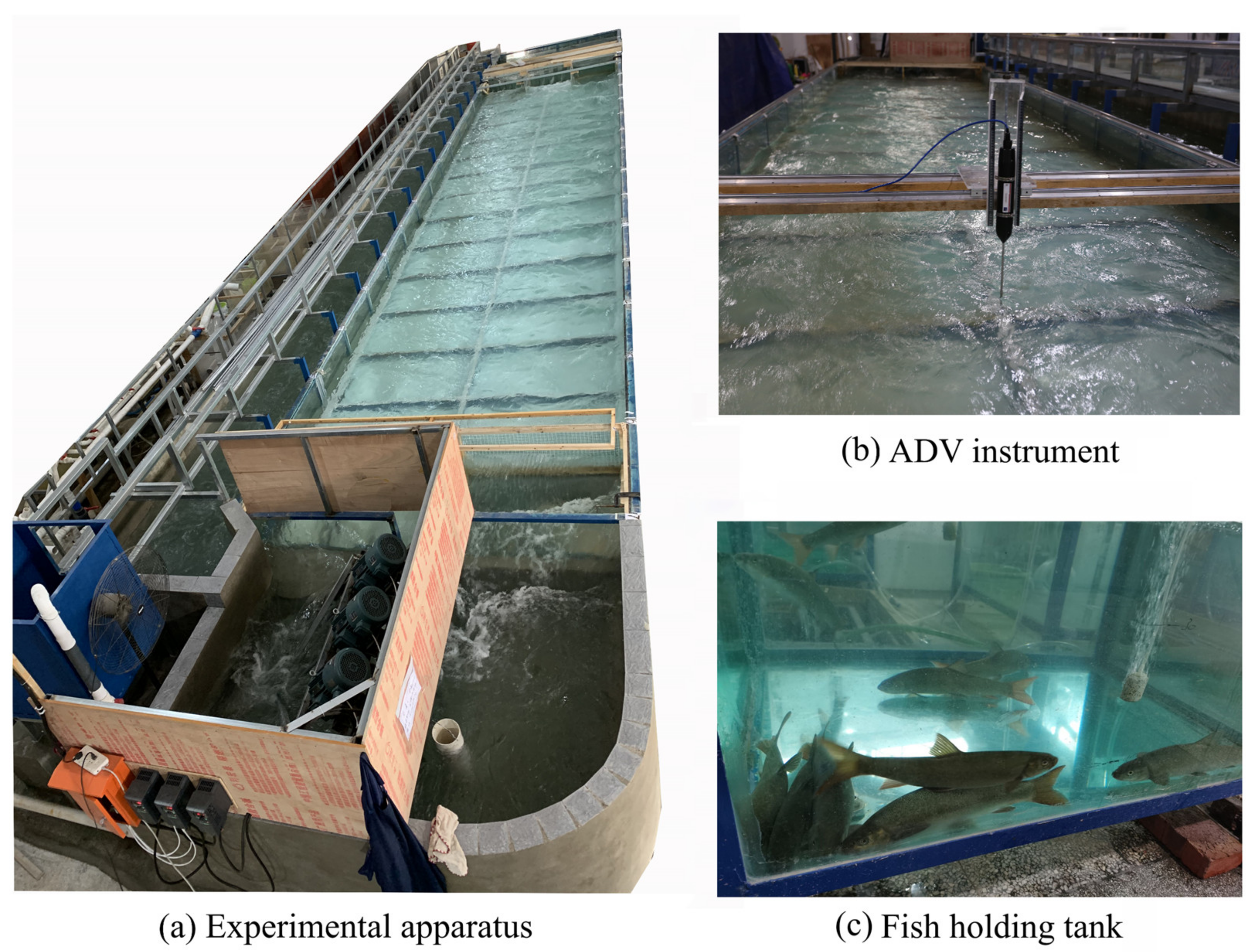 Animals 13 01025 g001