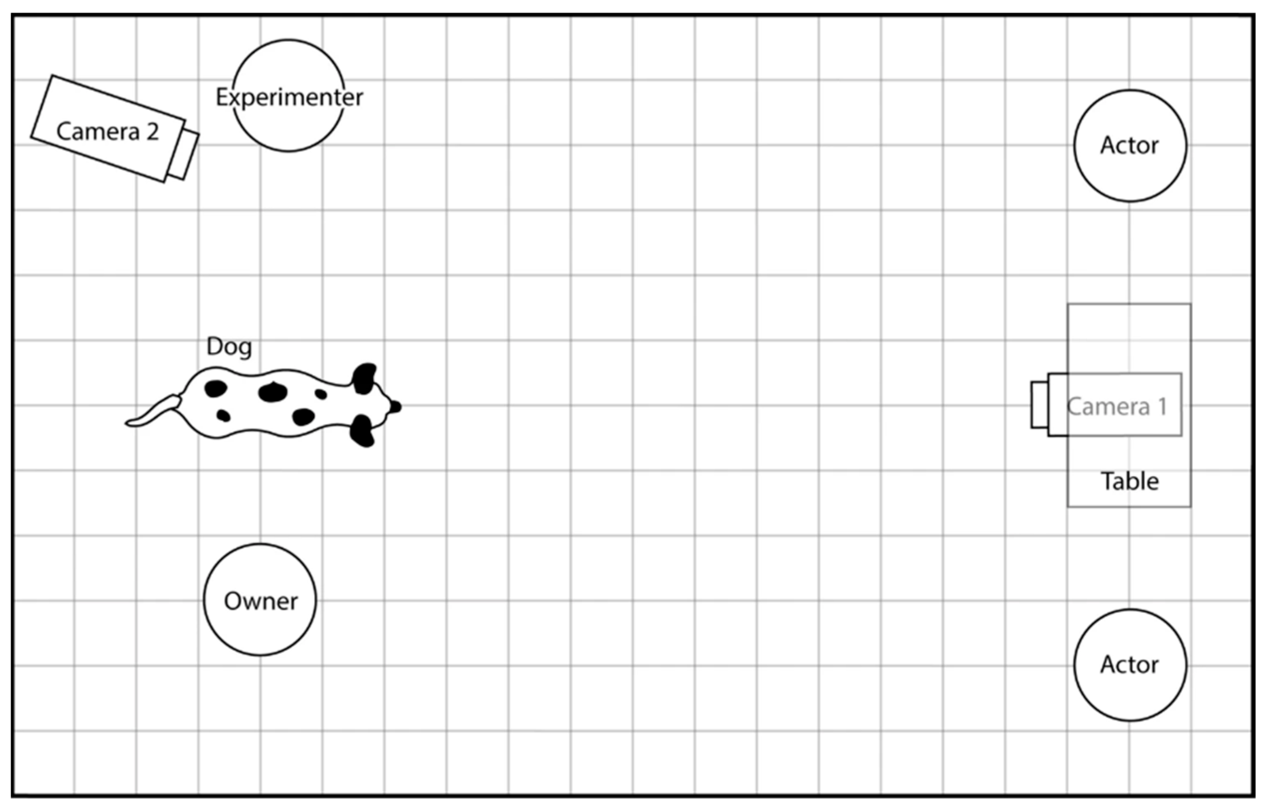 Animals 13 01027 g001