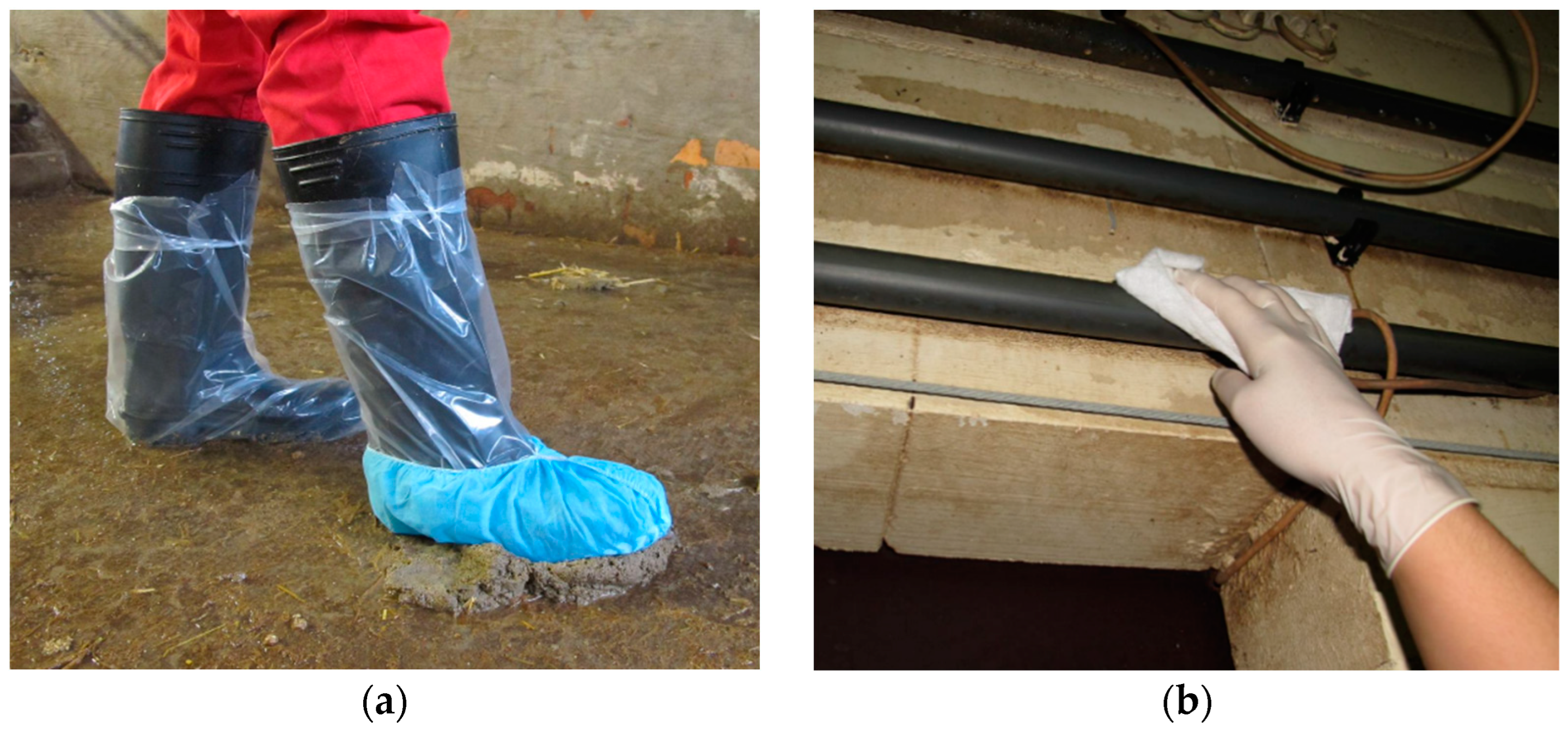 Animals 13 01031 g001