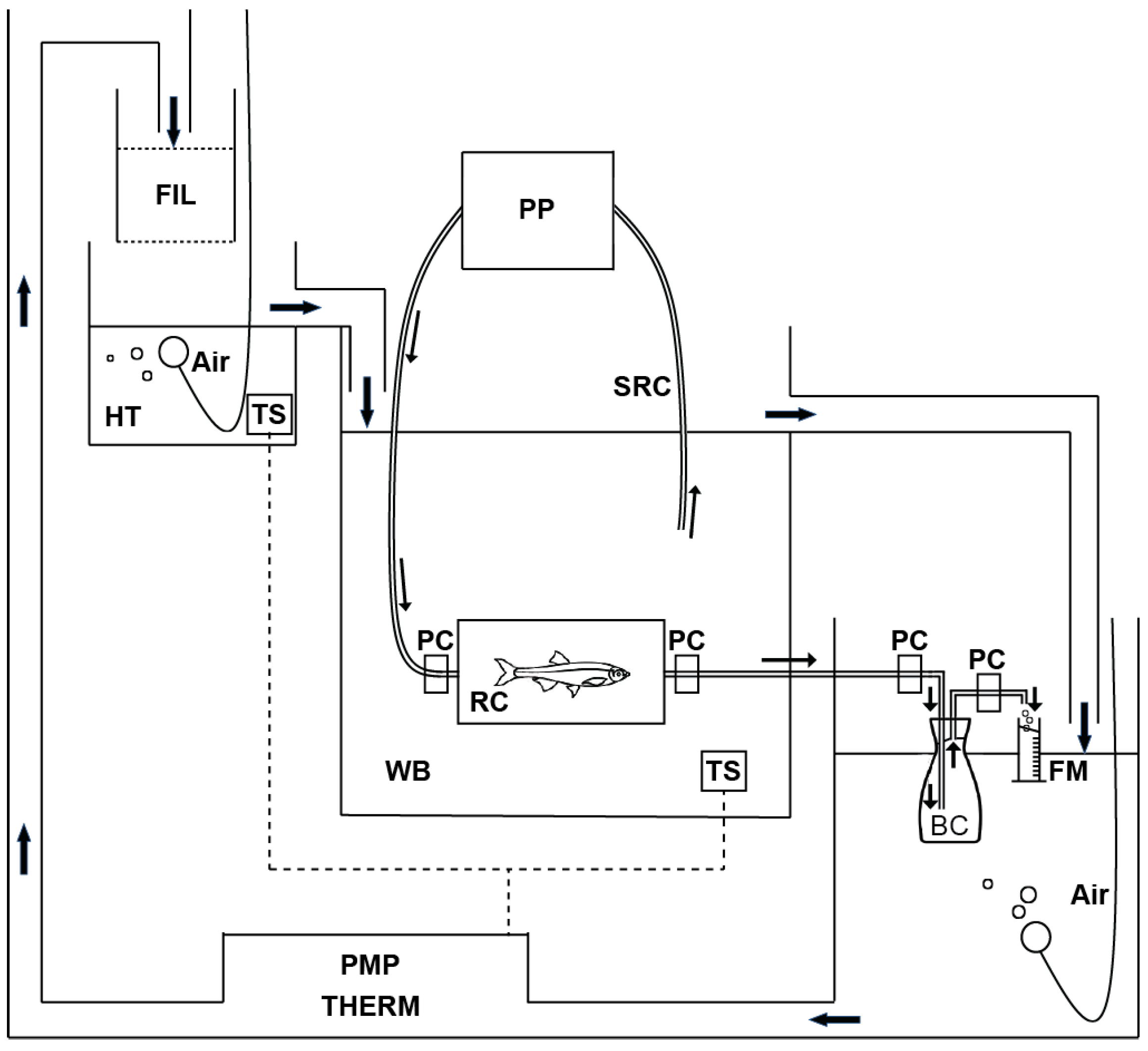 Animals 13 01035 g001