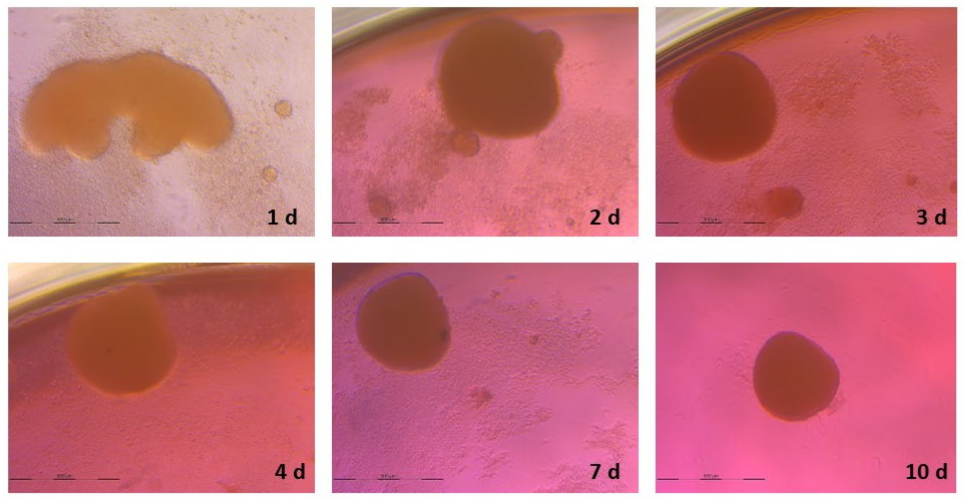 Animals 13 01043 g002 Animals 13 01043 g002