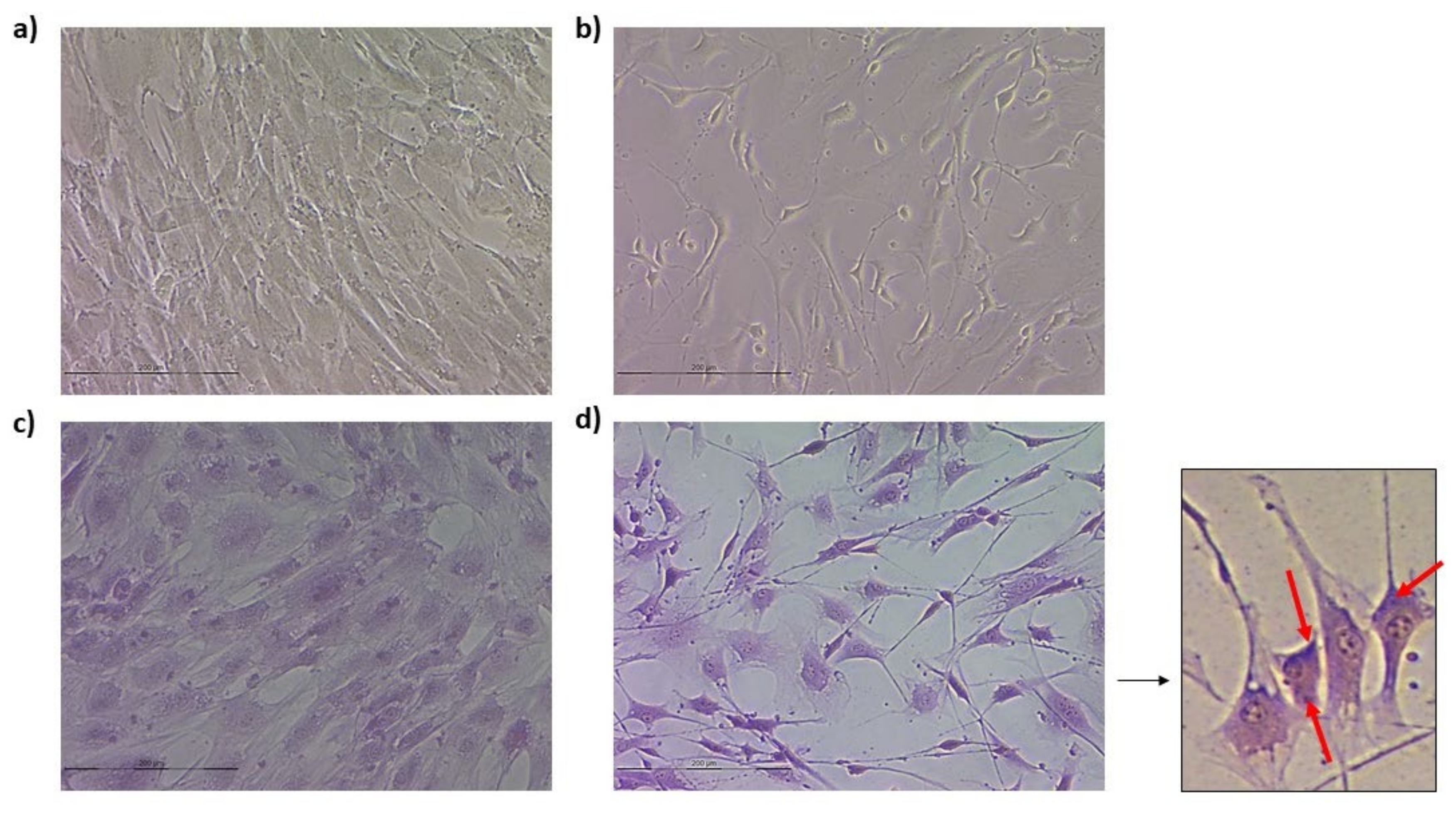 Animals 13 01043 g004 Animals 13 01043 g004