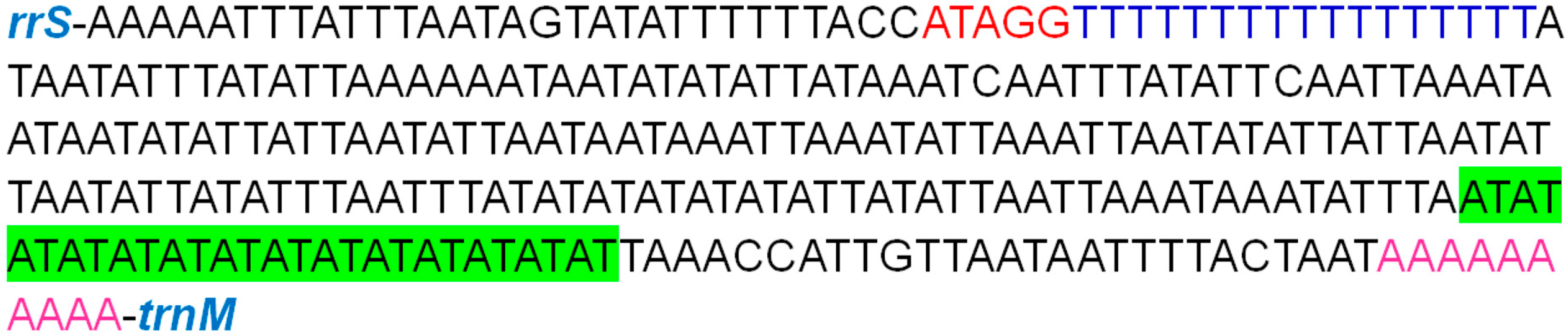 Animals 13 01045 g004