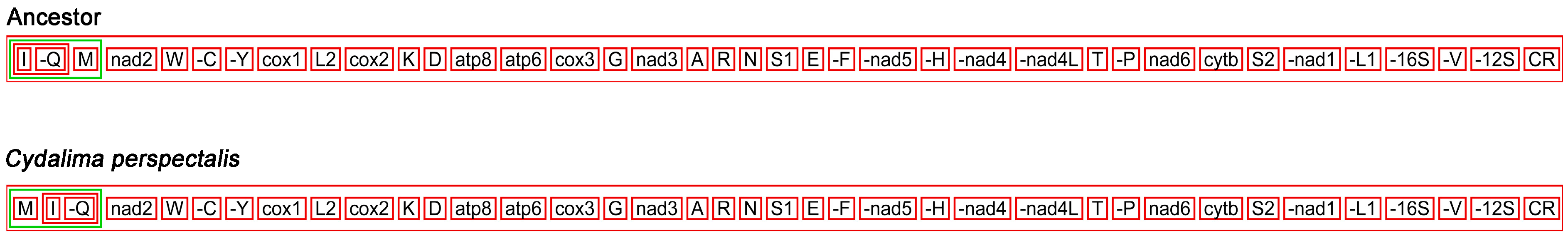 Animals 13 01045 g005