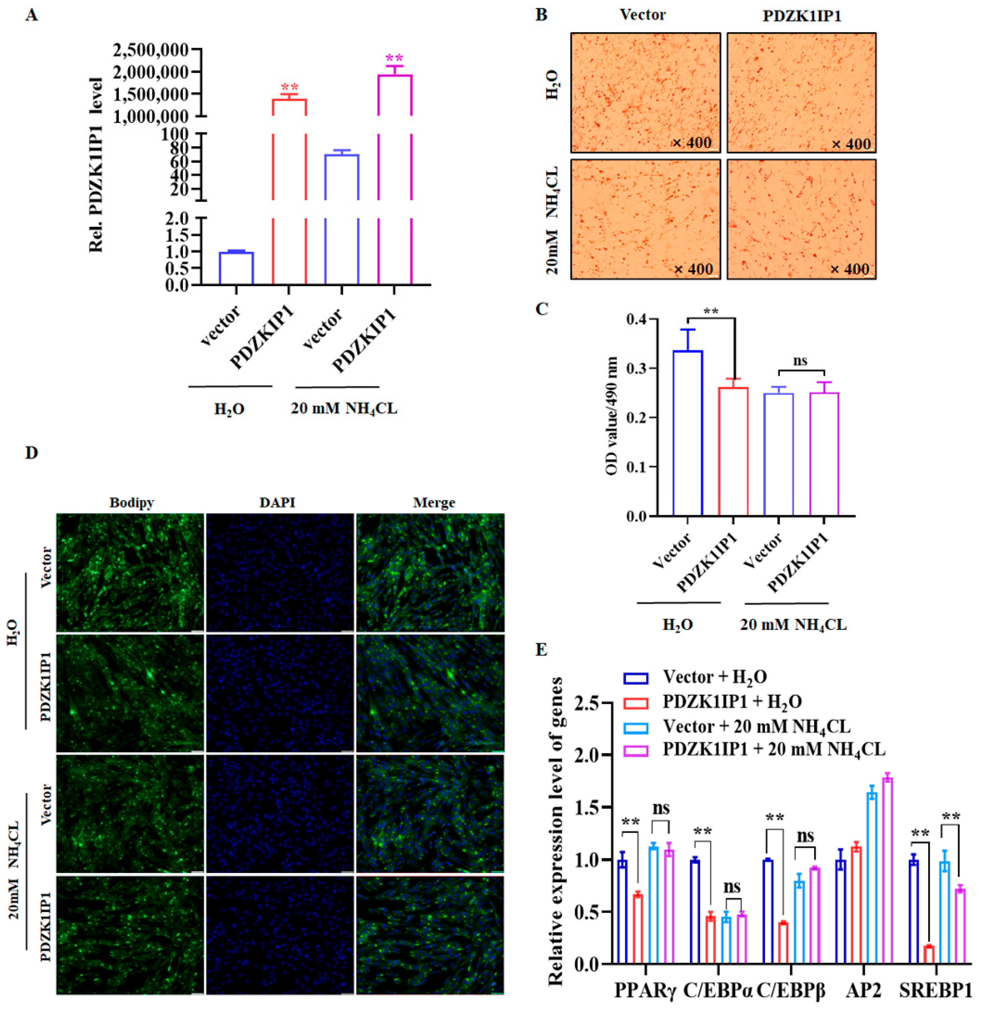 Animals 13 01046 g007