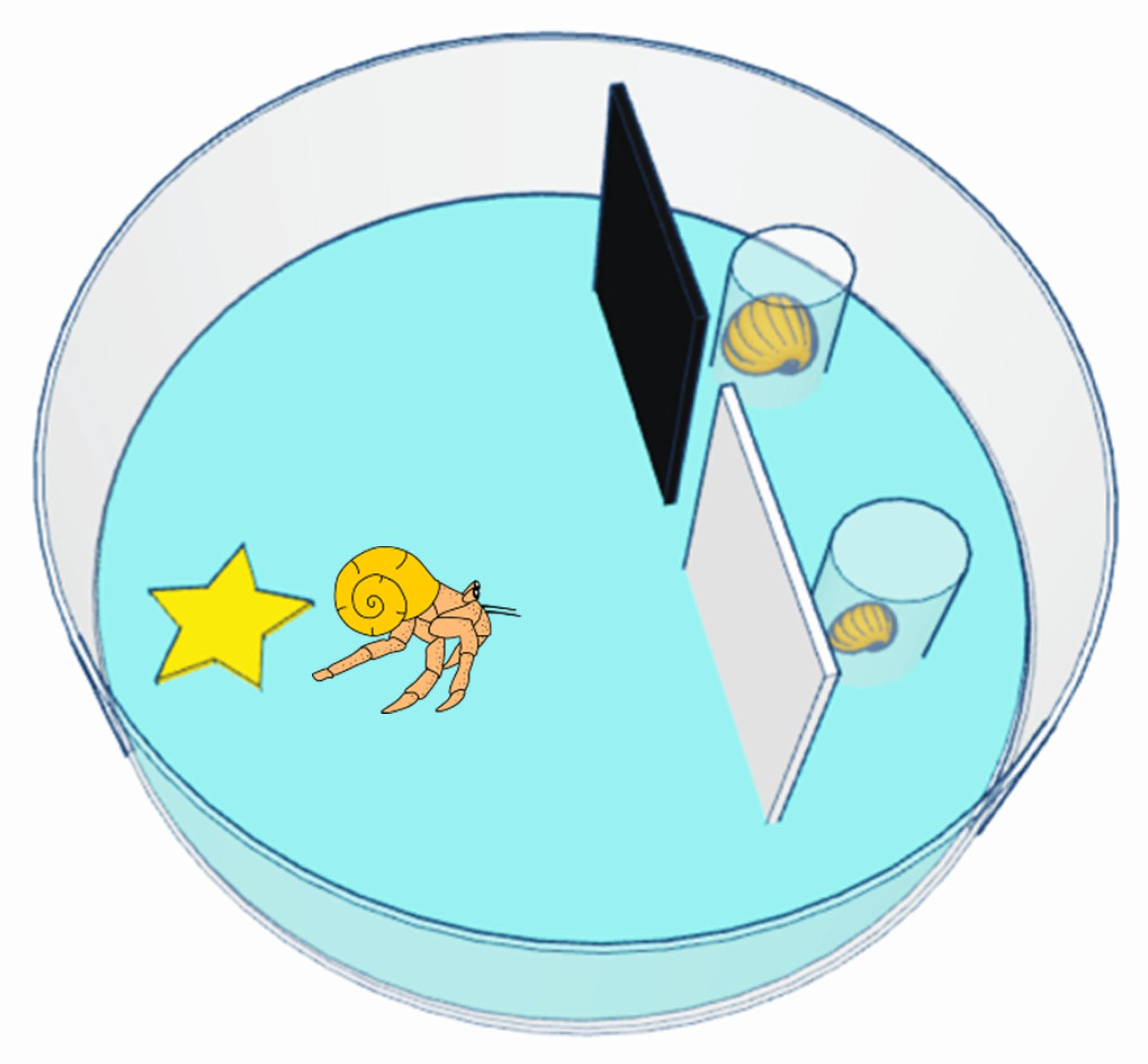 Animals 13 01055 g001