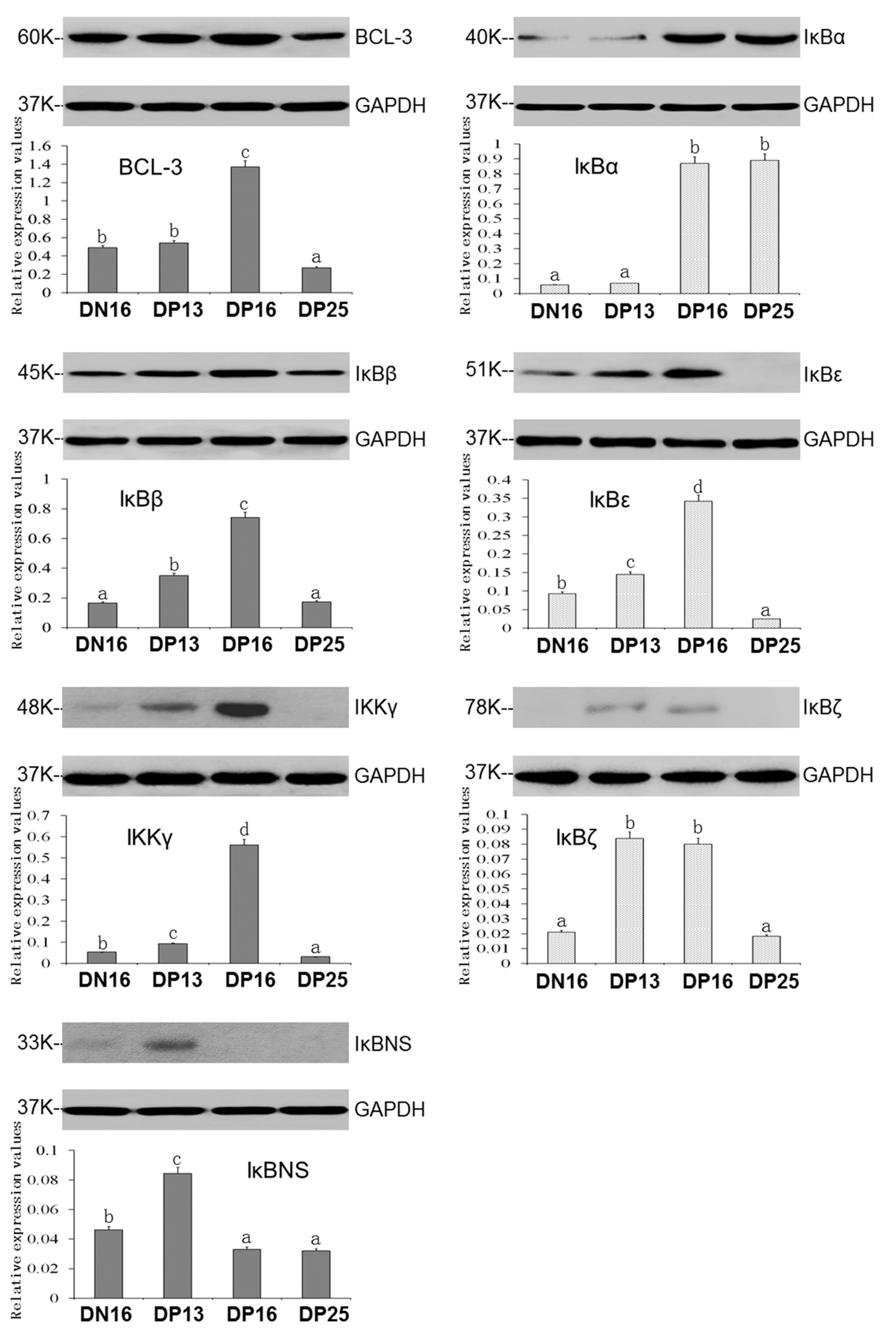 Animals 13 01057 g002