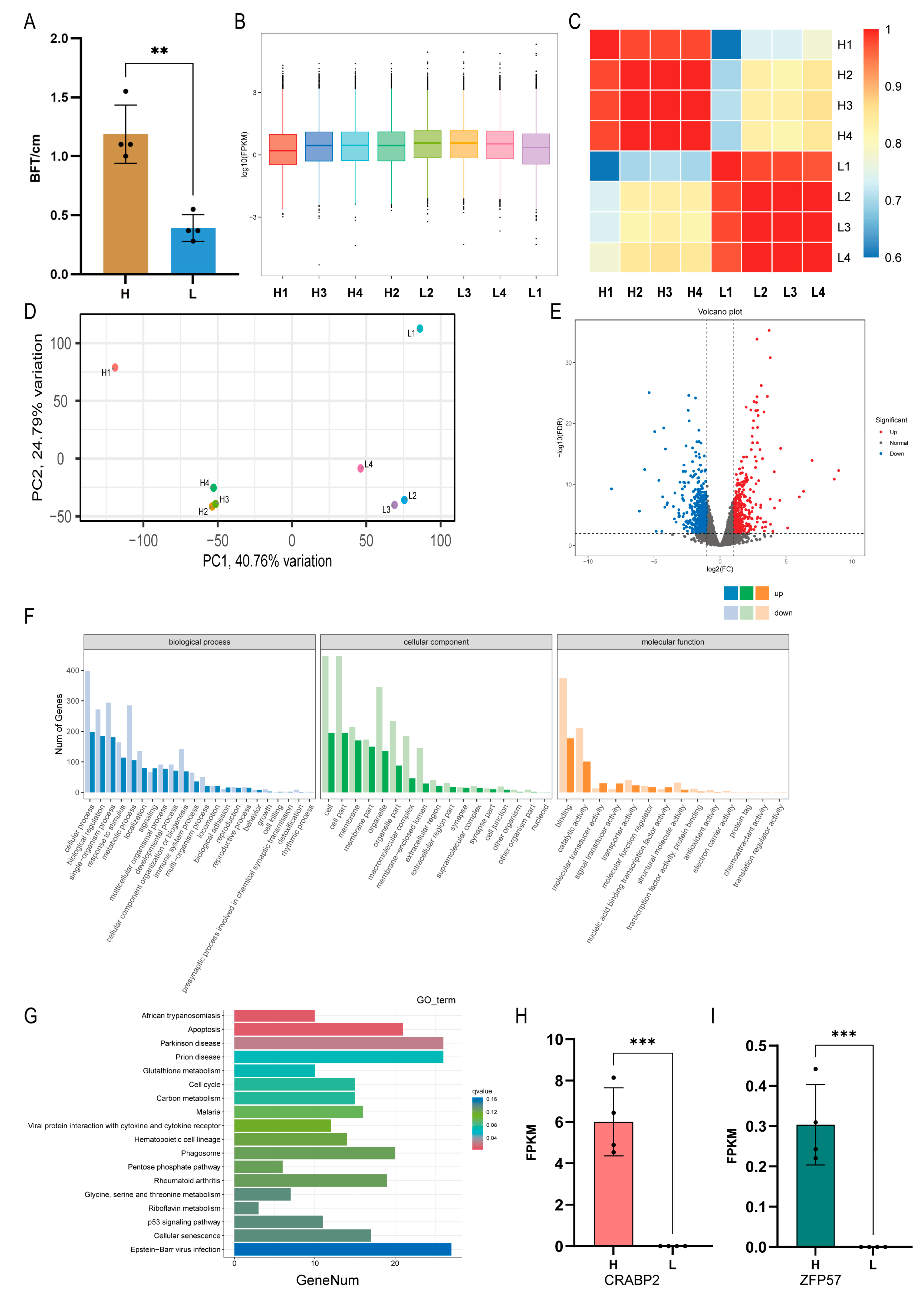 Animals 13 01060 g001 Animals 13 01060 g001