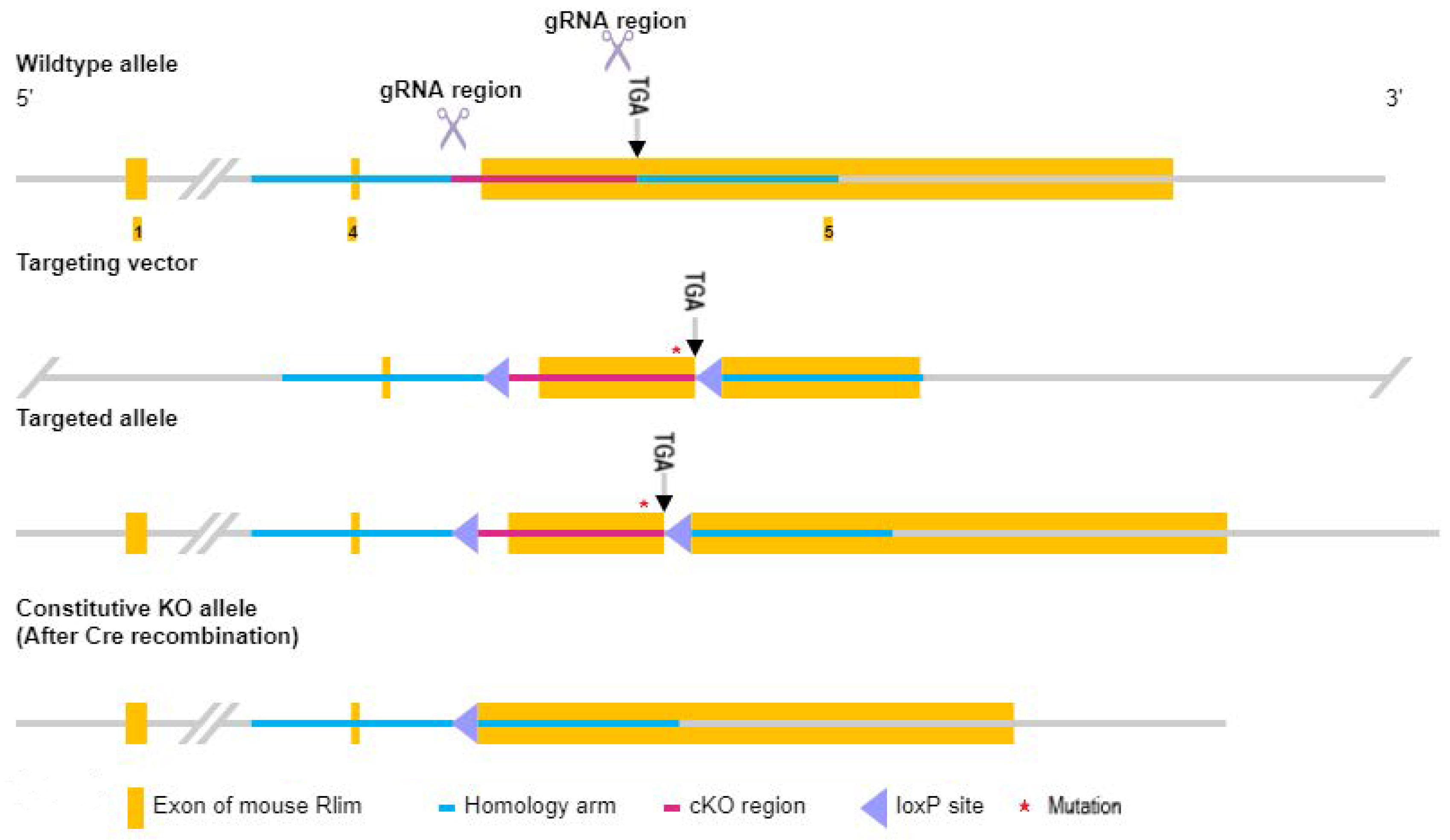 Animals 13 01079 g002