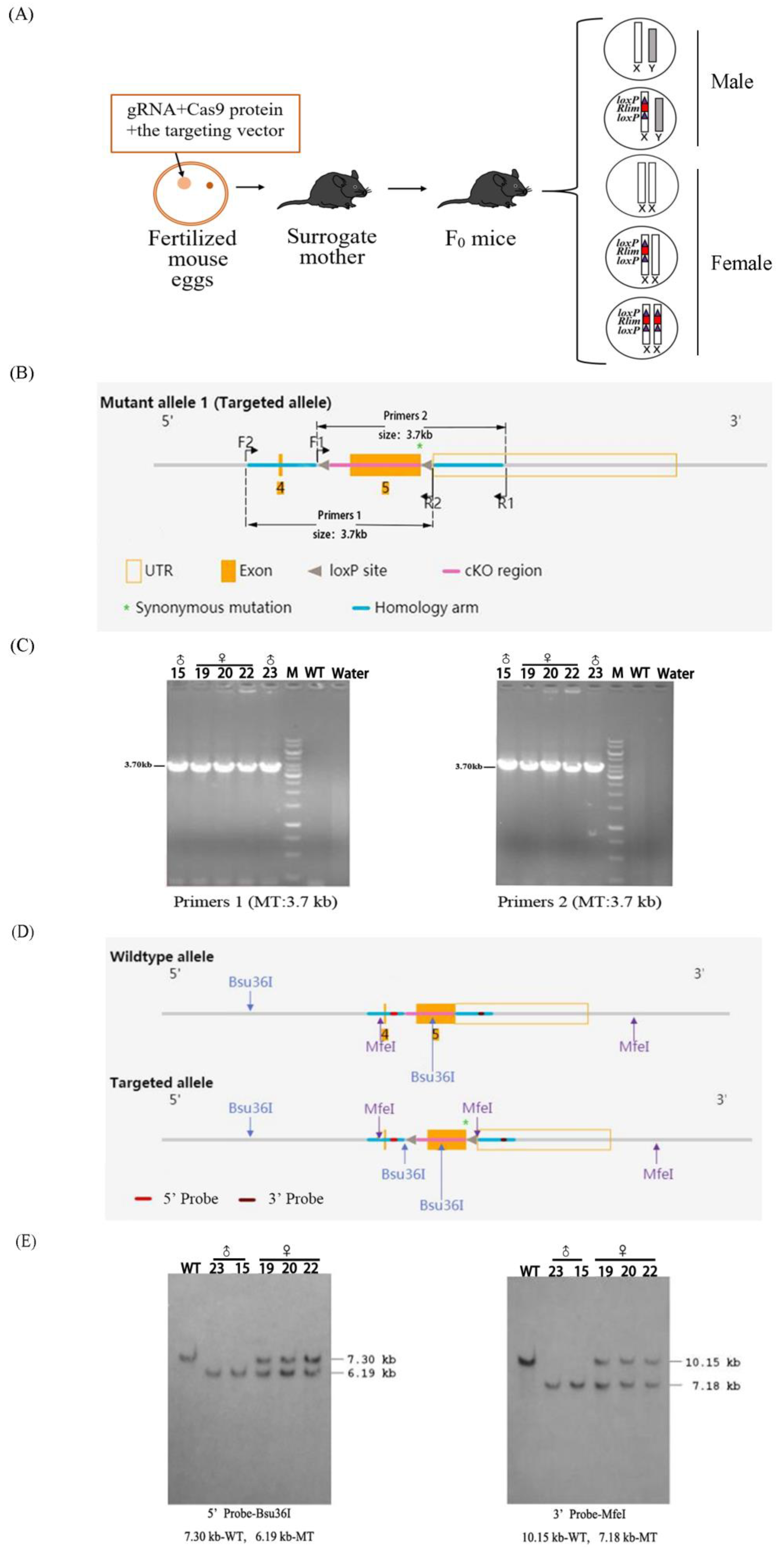 Animals 13 01079 g003