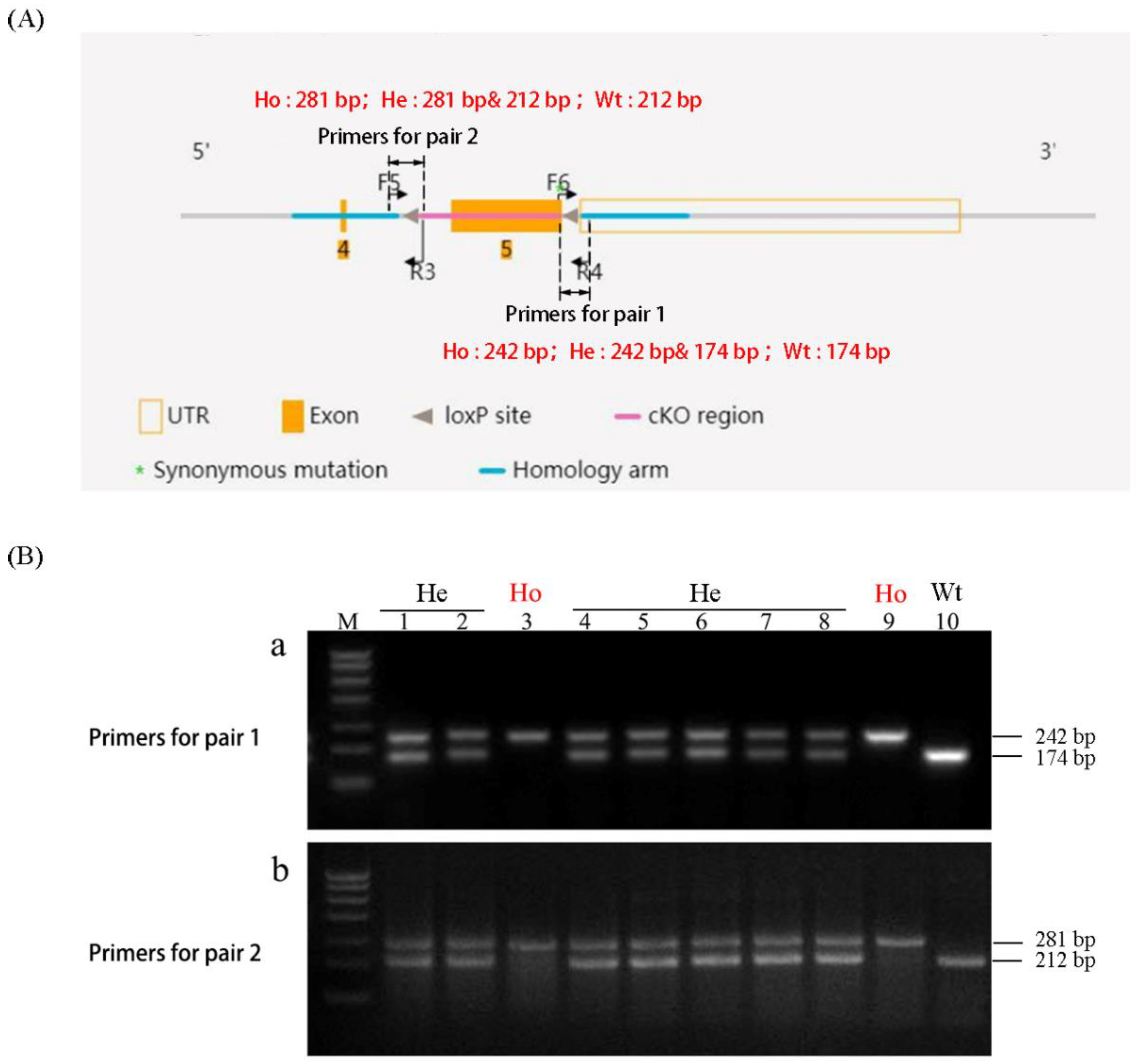 Animals 13 01079 g004