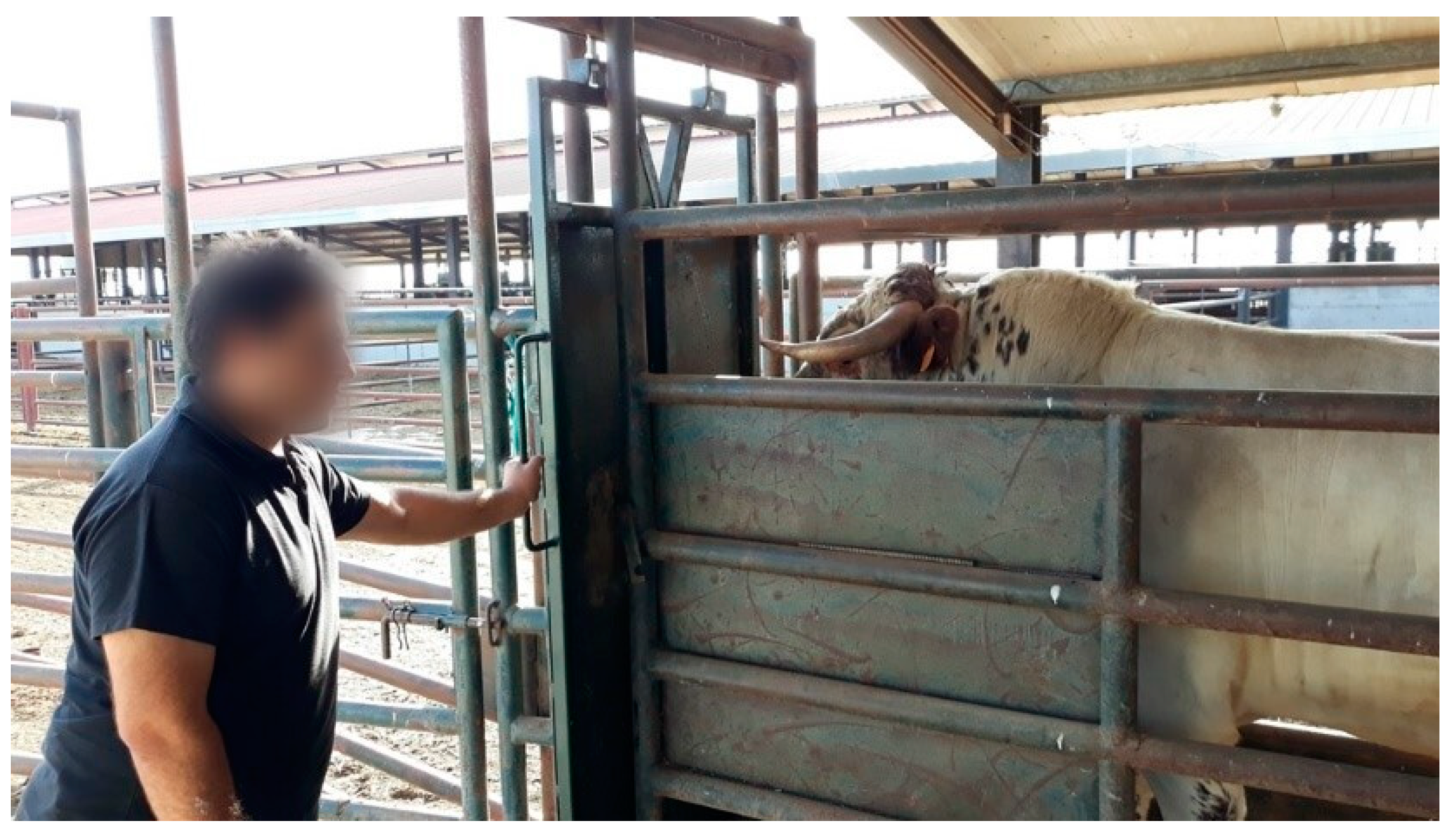 Animals 13 01087 g001