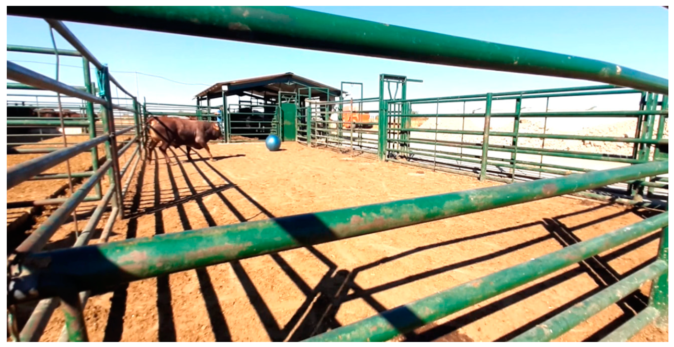 Animals 13 01087 g002