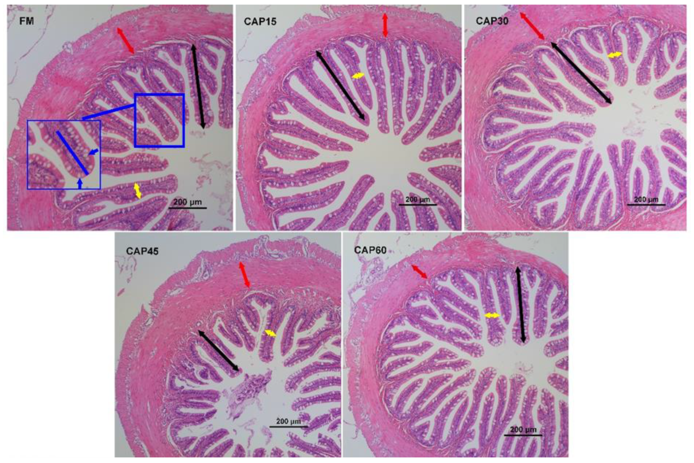 Animals 13 01090 g001 Animals 13 01090 g001