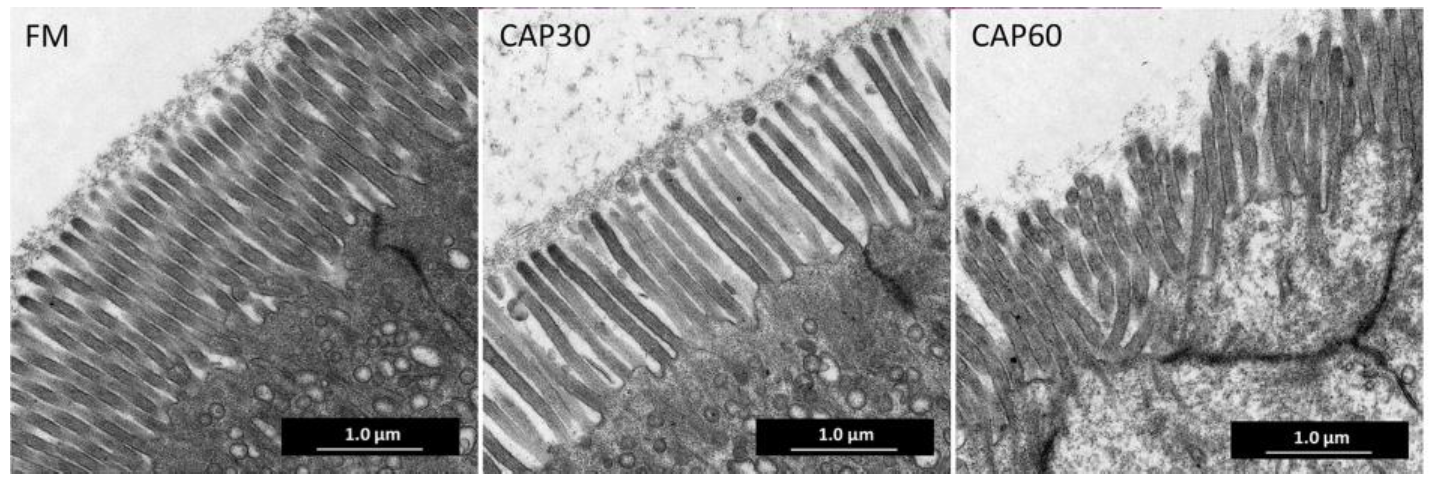 Animals 13 01090 g002 Animals 13 01090 g002