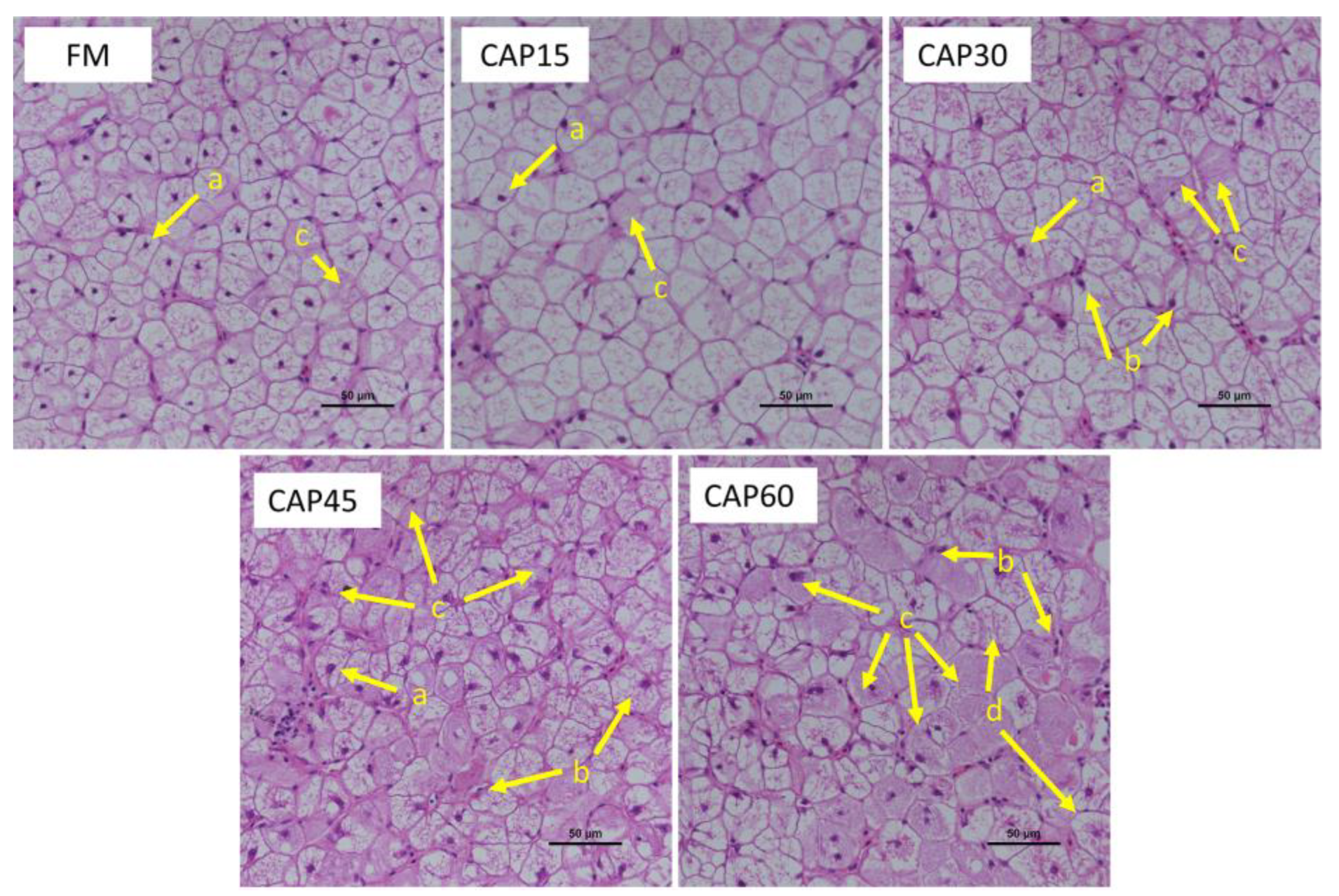 Animals 13 01090 g003 Animals 13 01090 g003