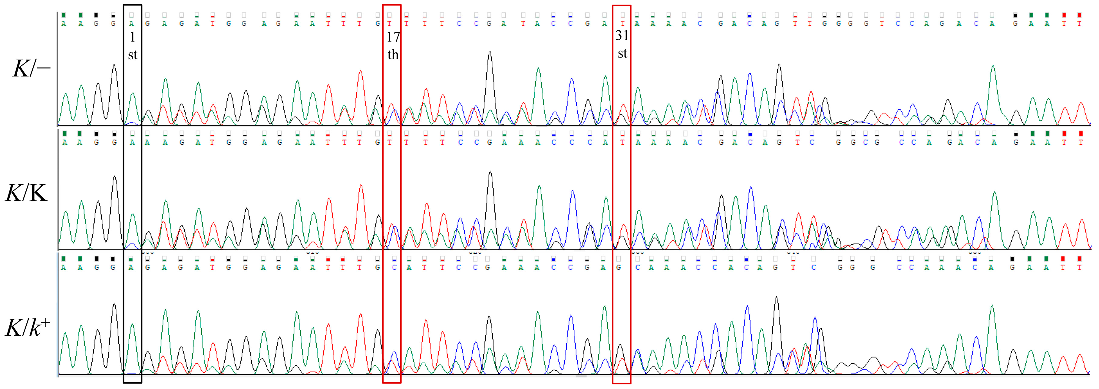 Animals 13 01091 g003