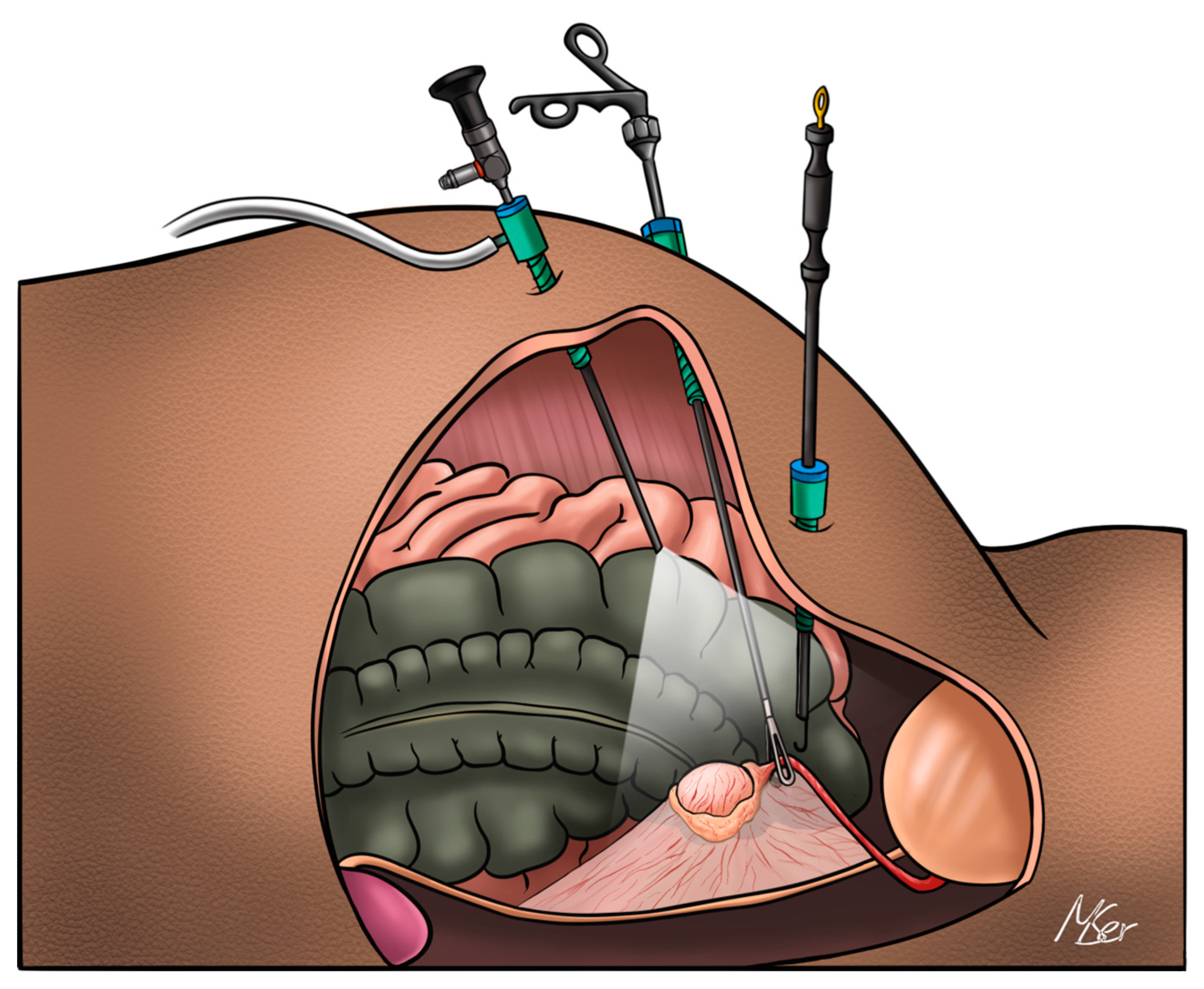 Animals 13 01092 g002 Animals 13 01092 g002