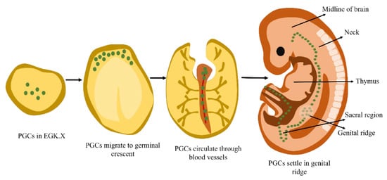 Animals 13 01096 g002