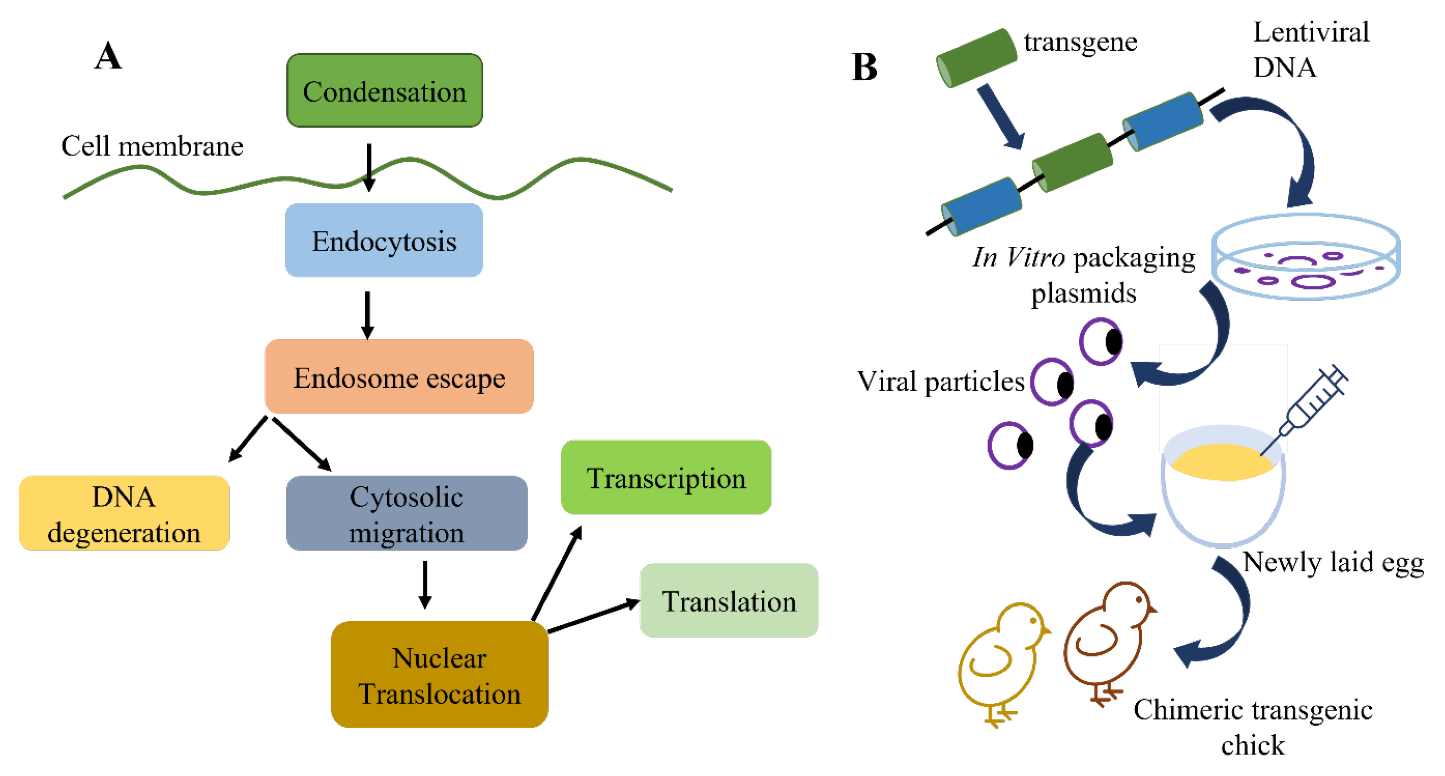 Animals 13 01096 g004