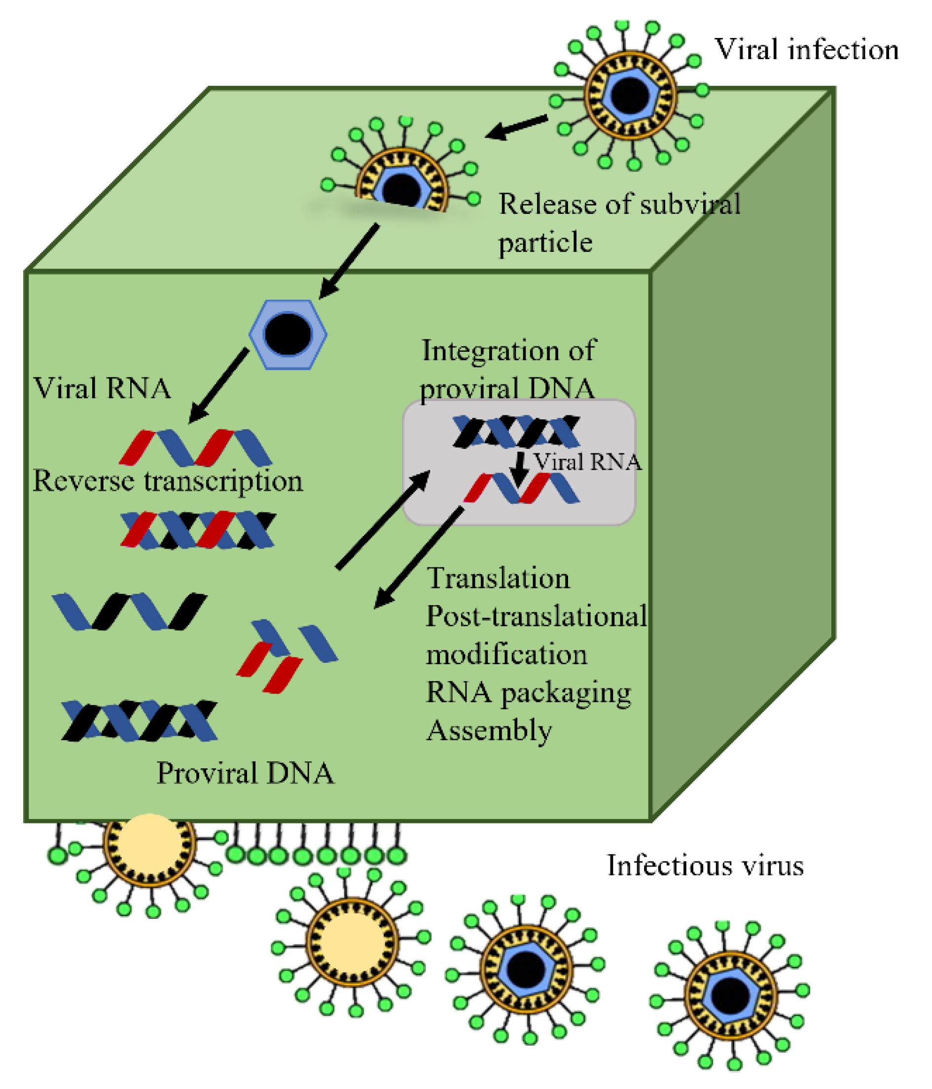 Animals 13 01096 g006