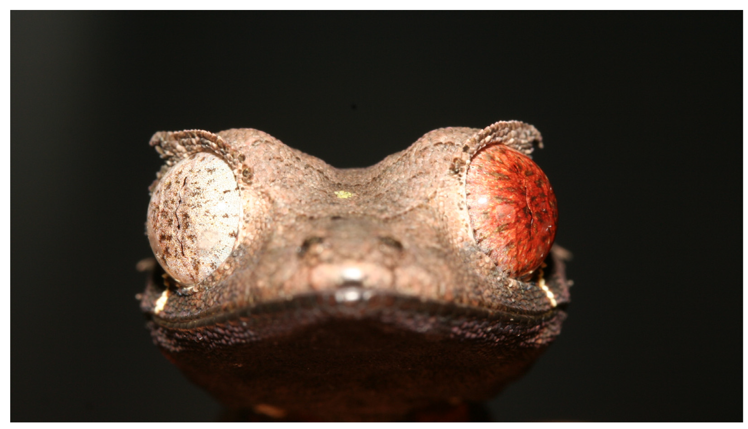 Animals 13 01108 g006