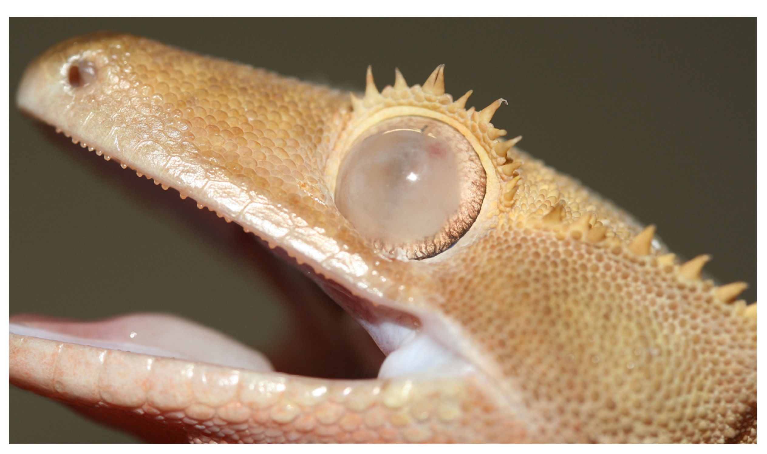 Animals 13 01108 g017