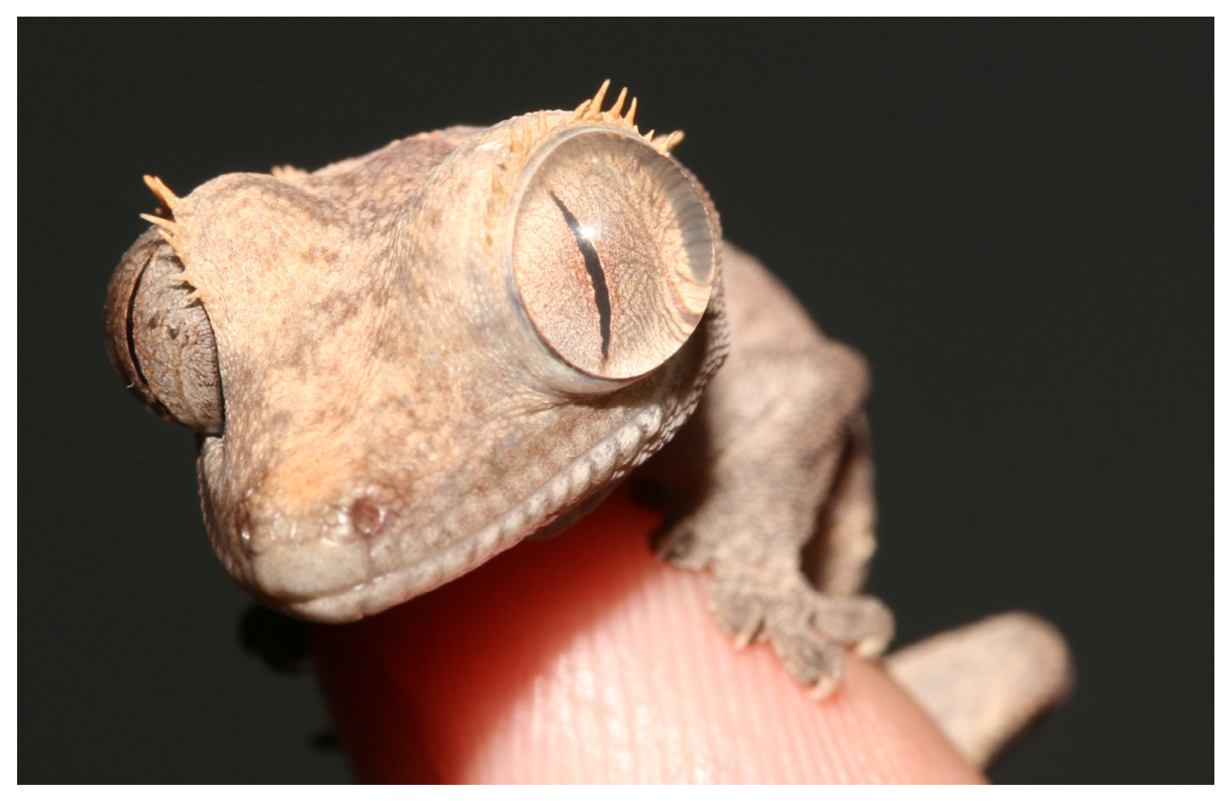 Animals 13 01108 g022