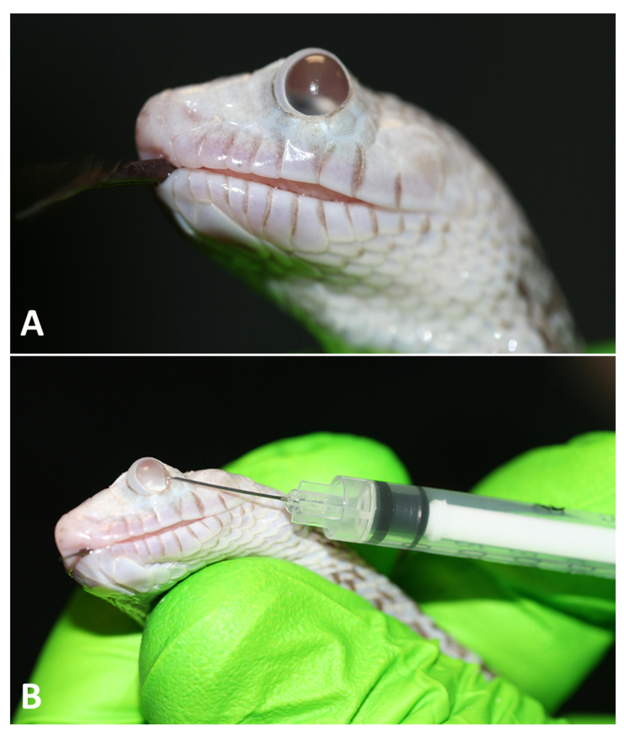 Animals 13 01108 g027