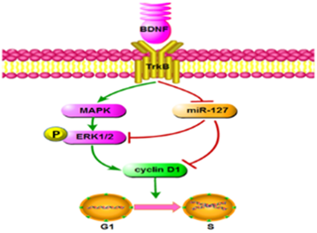 Animals 13 01115 g005