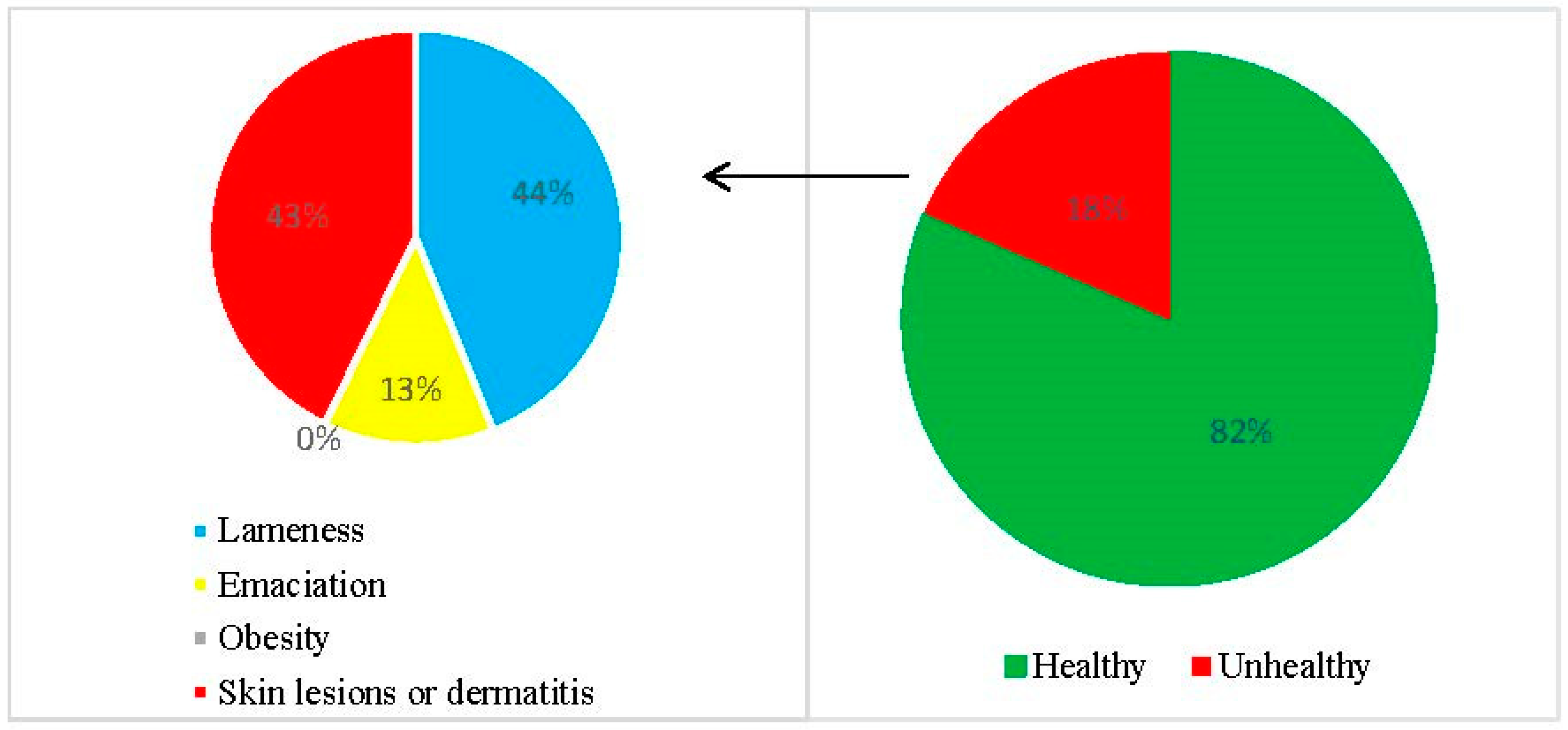 Animals 13 01126 g004