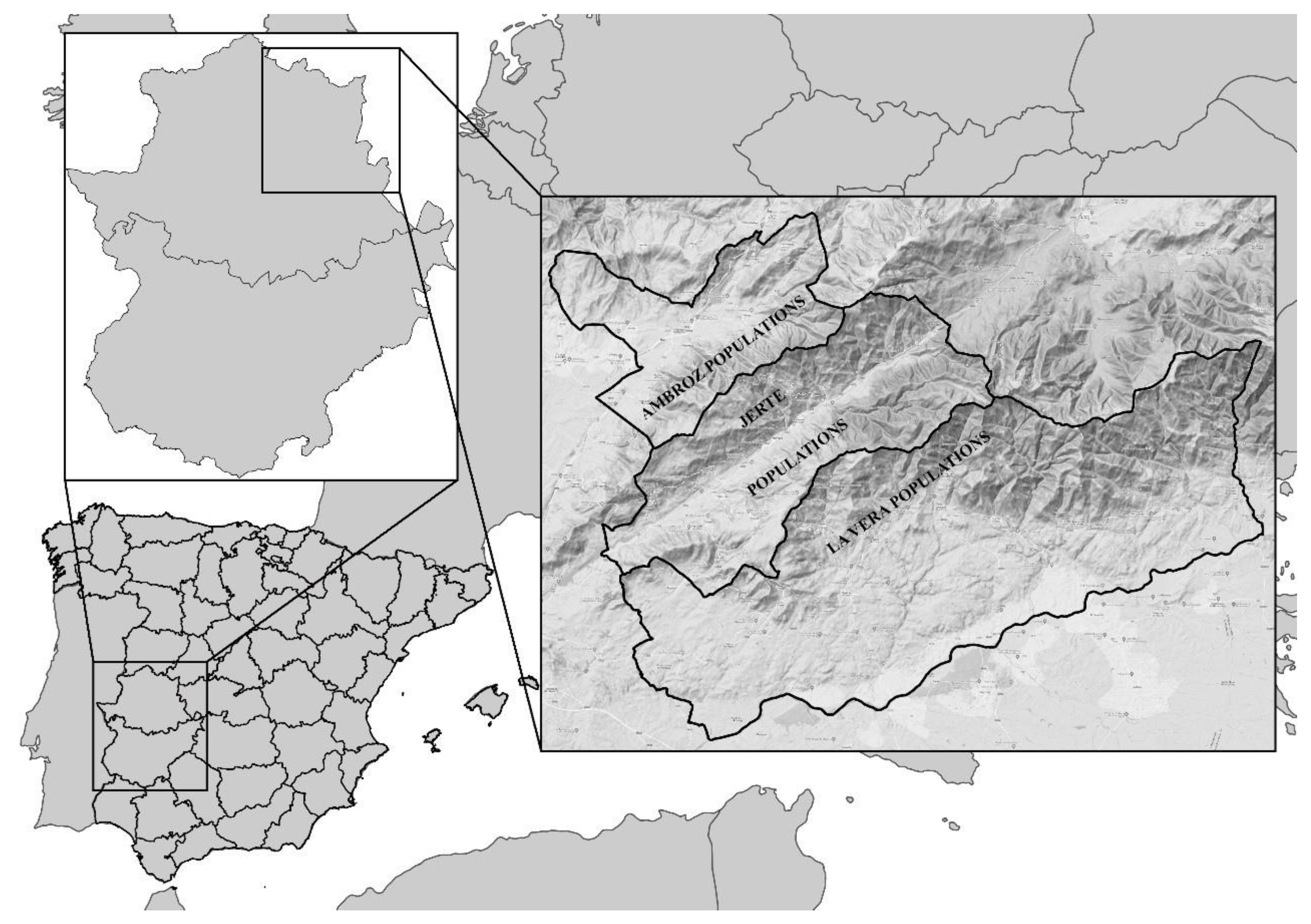 Animals 13 01136 g001