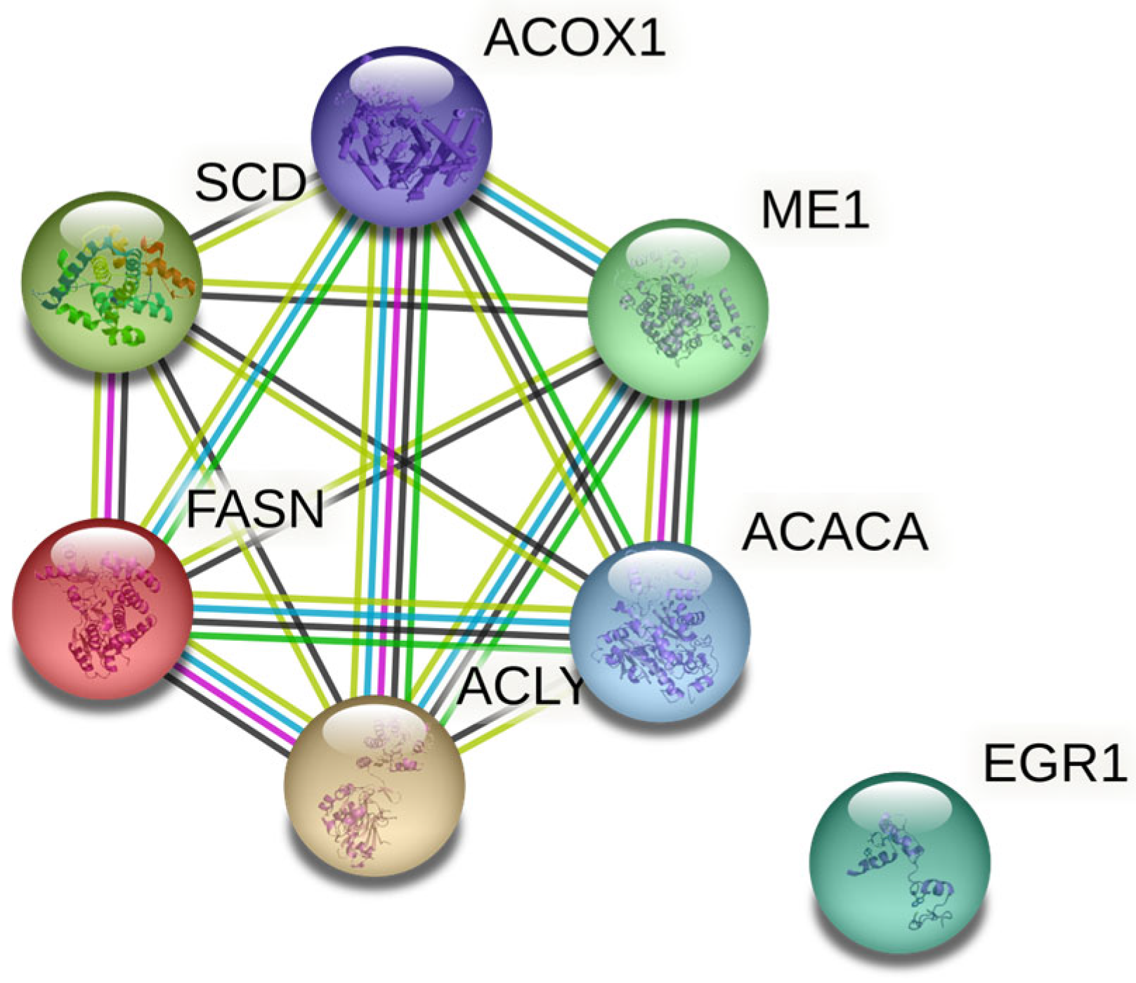 Animals 13 01138 g001