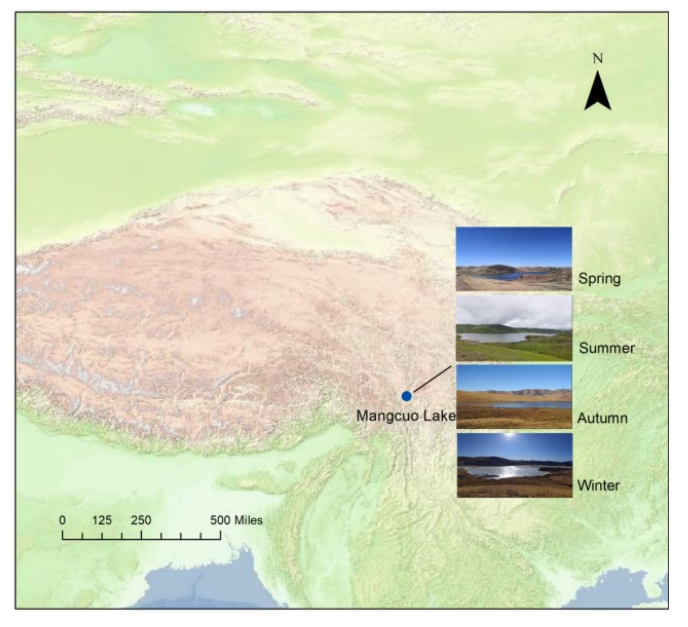 Animals 13 01139 g001