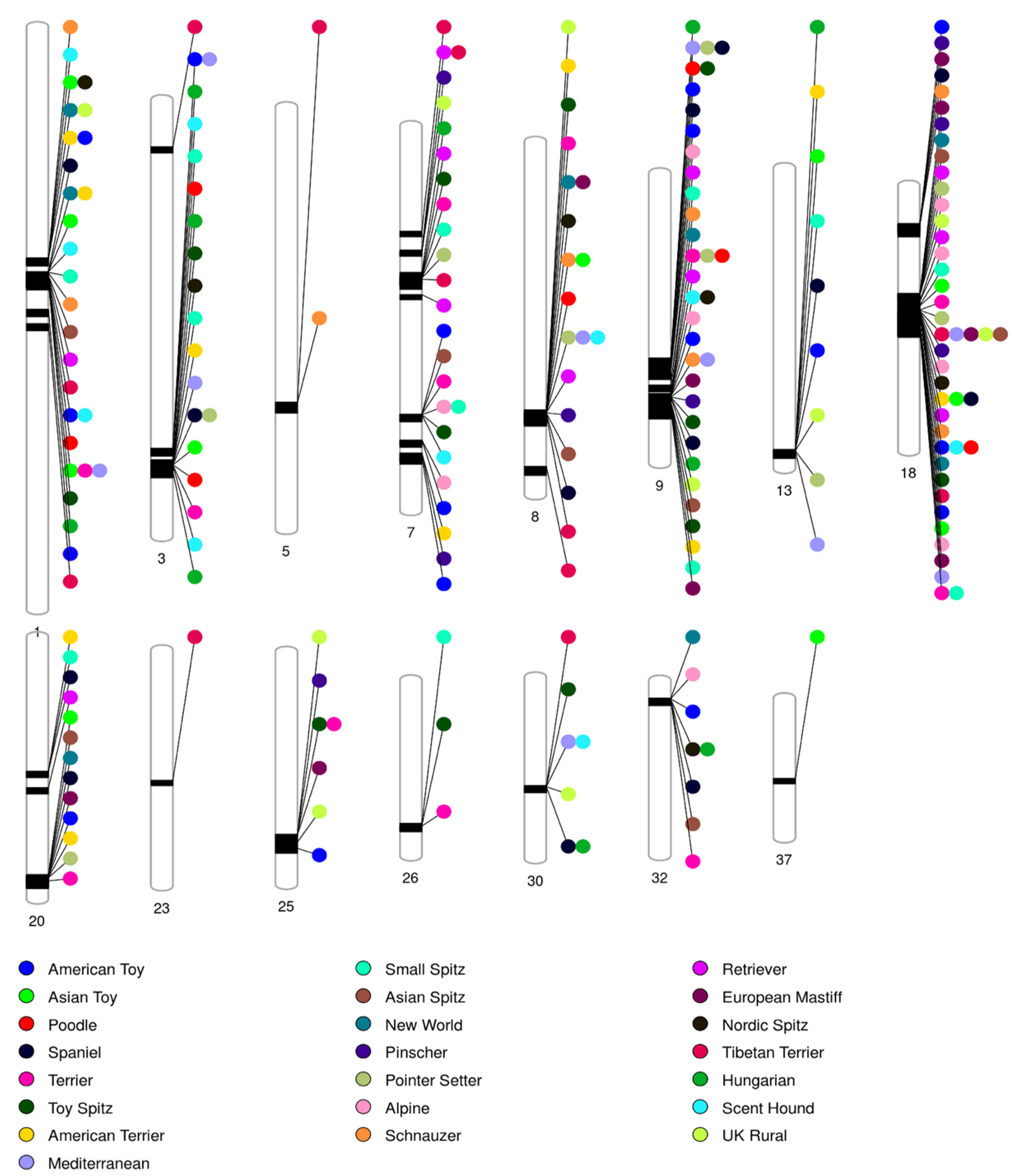 Animals 13 01149 g002