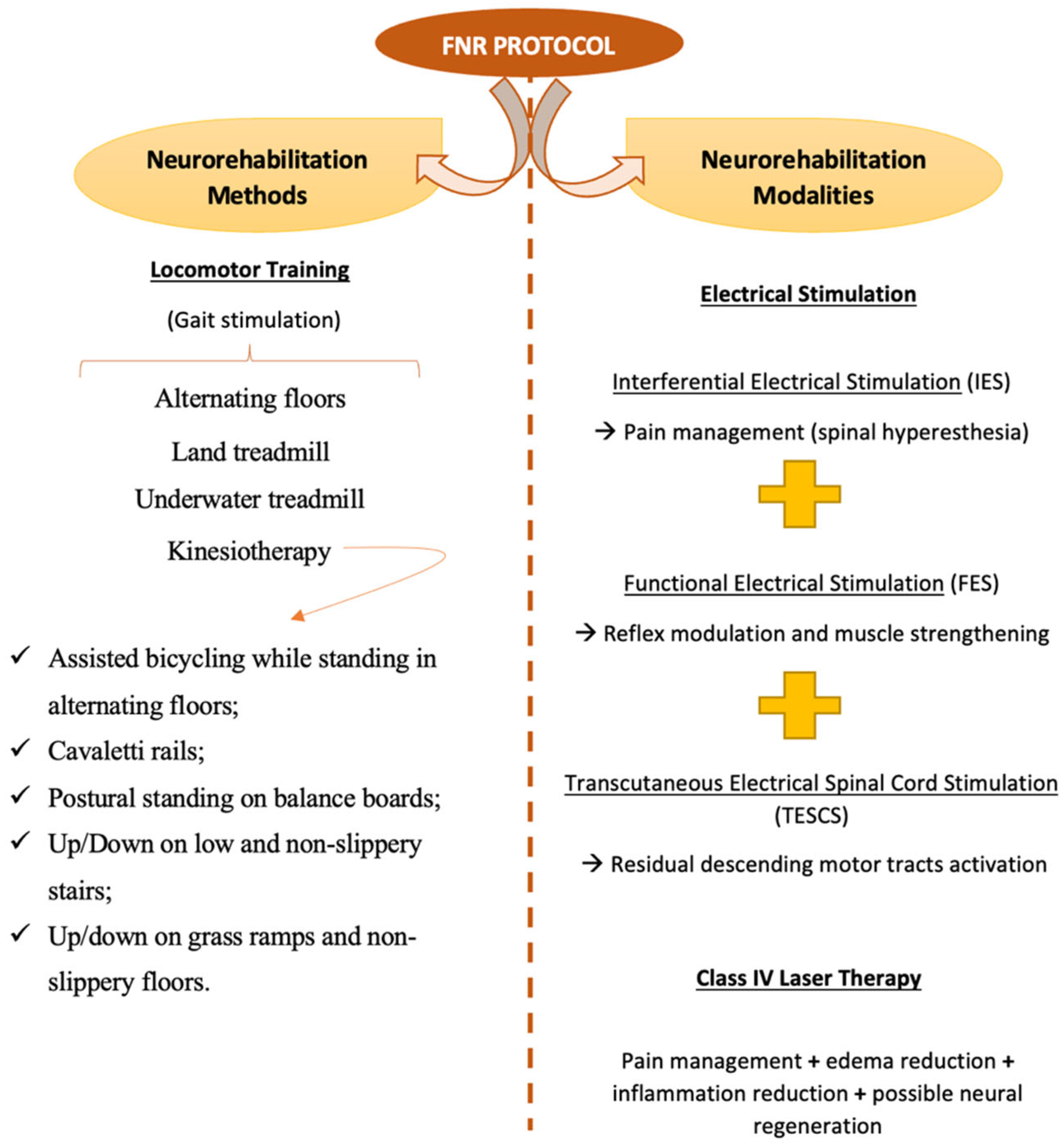 Animals 13 01164 g001