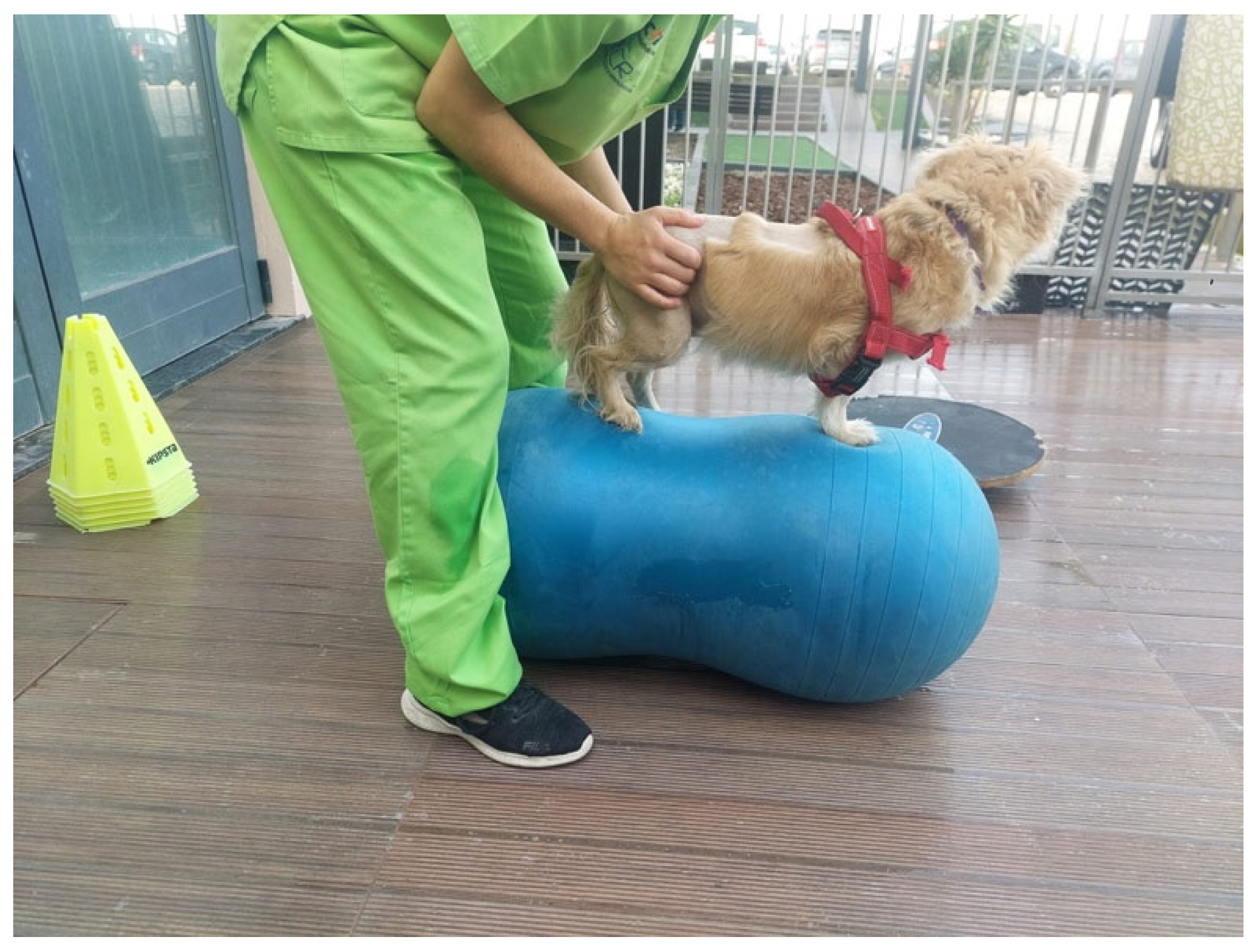 Animals 13 01164 g006