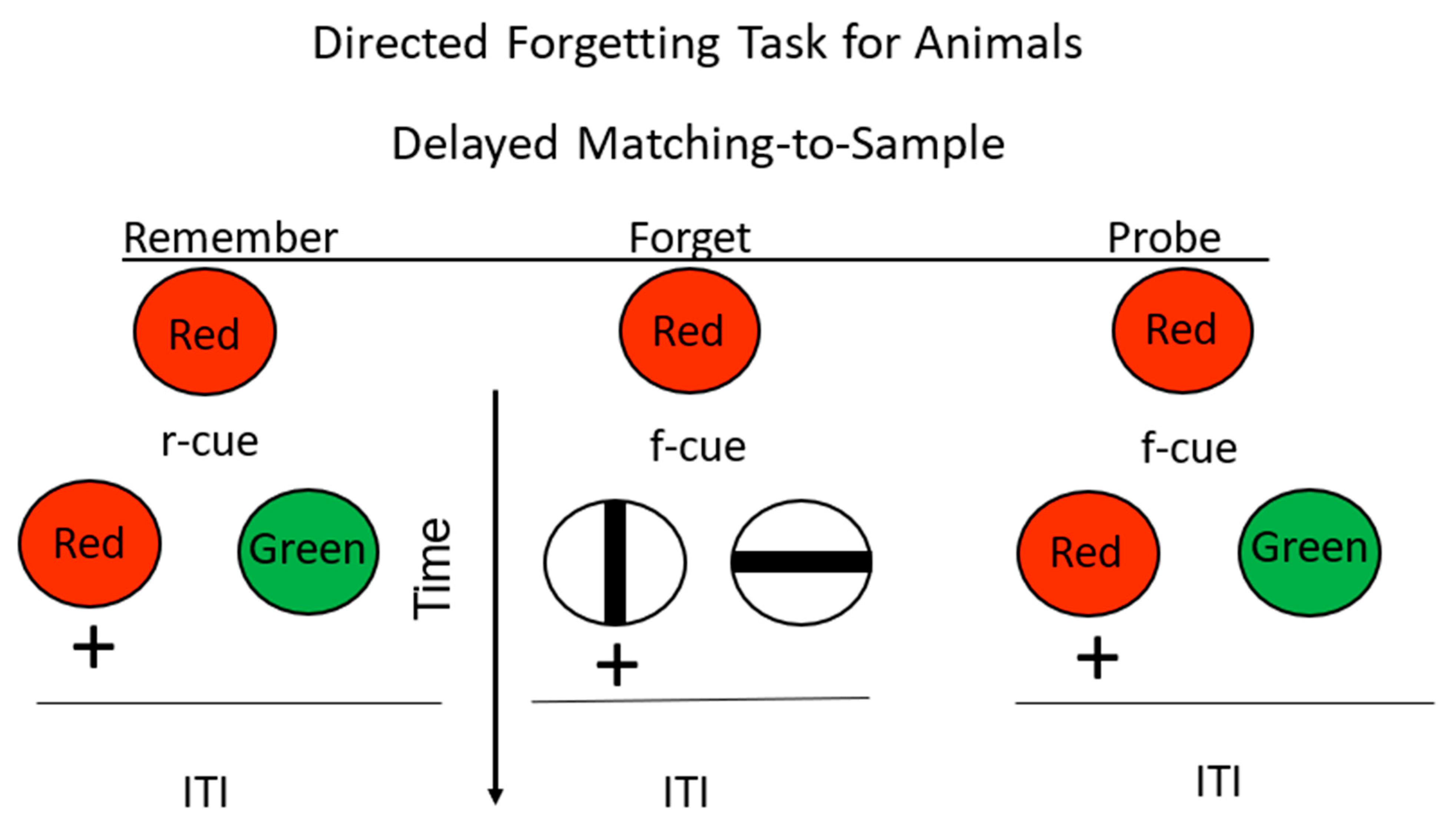 Animals 13 01165 g007