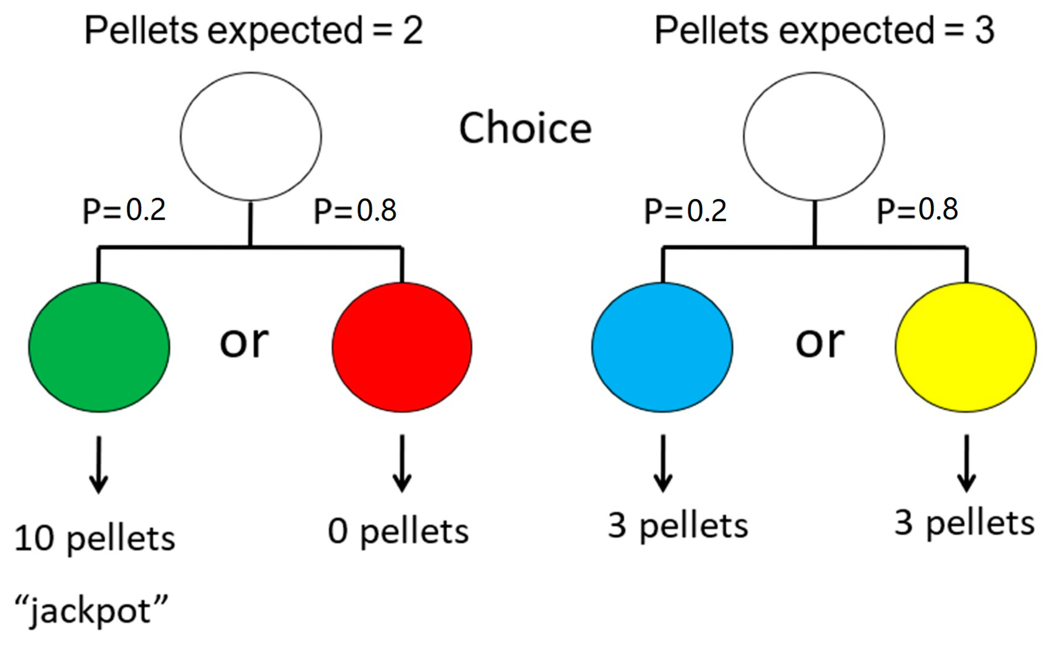 Animals 13 01165 g010