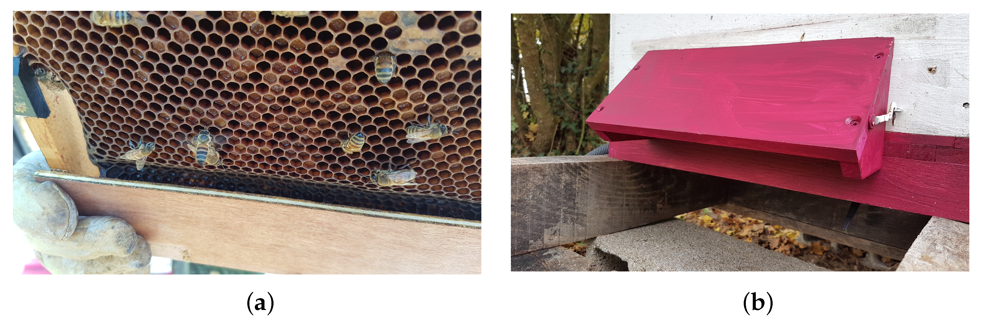 Animals 13 01182 g003 Animals 13 01182 g003